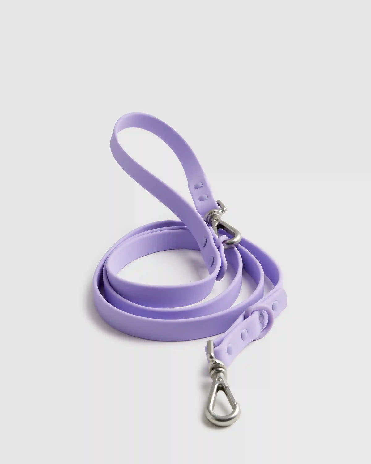 Dog Collar Walk Kit