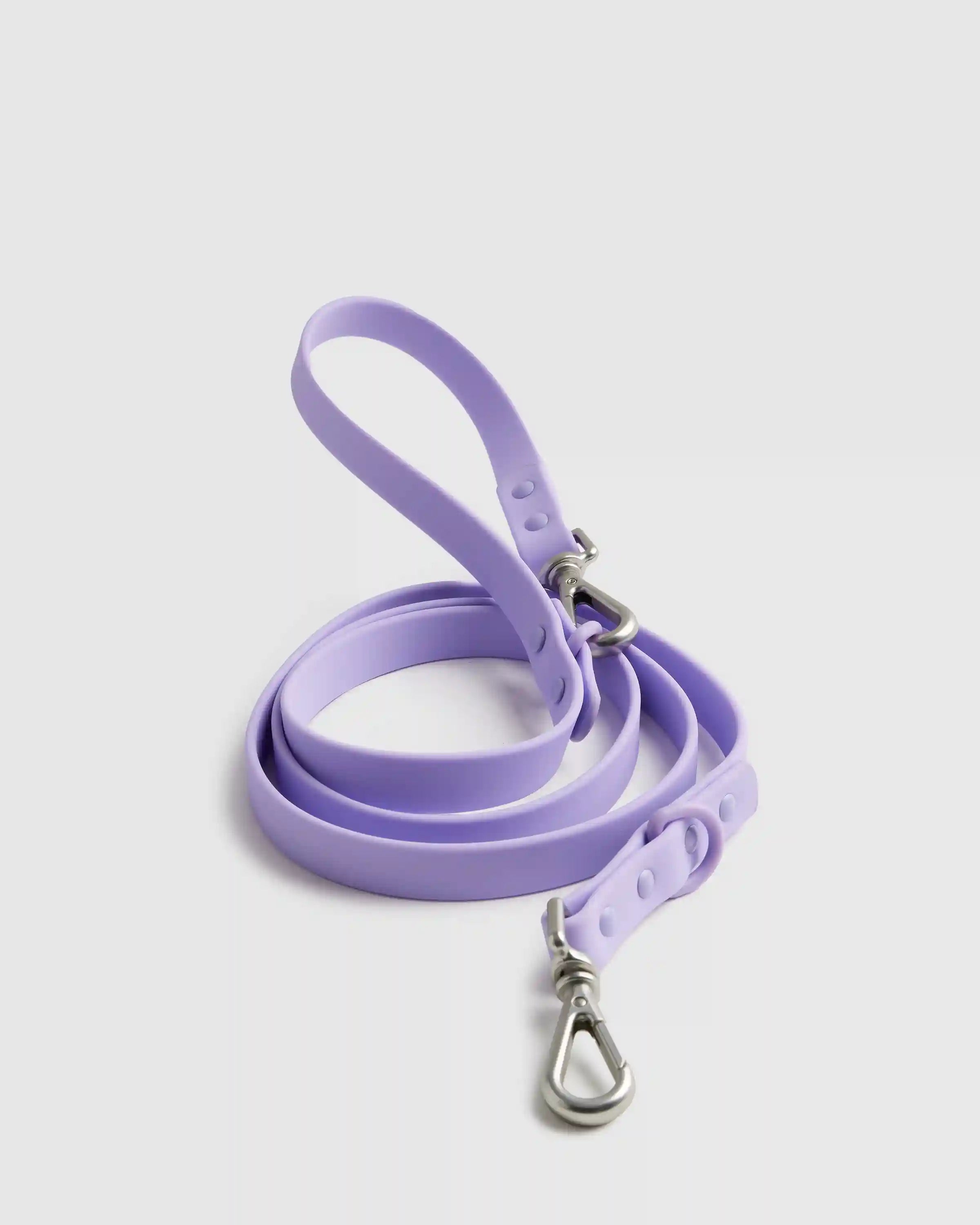 Flex-Poly Dog Leash