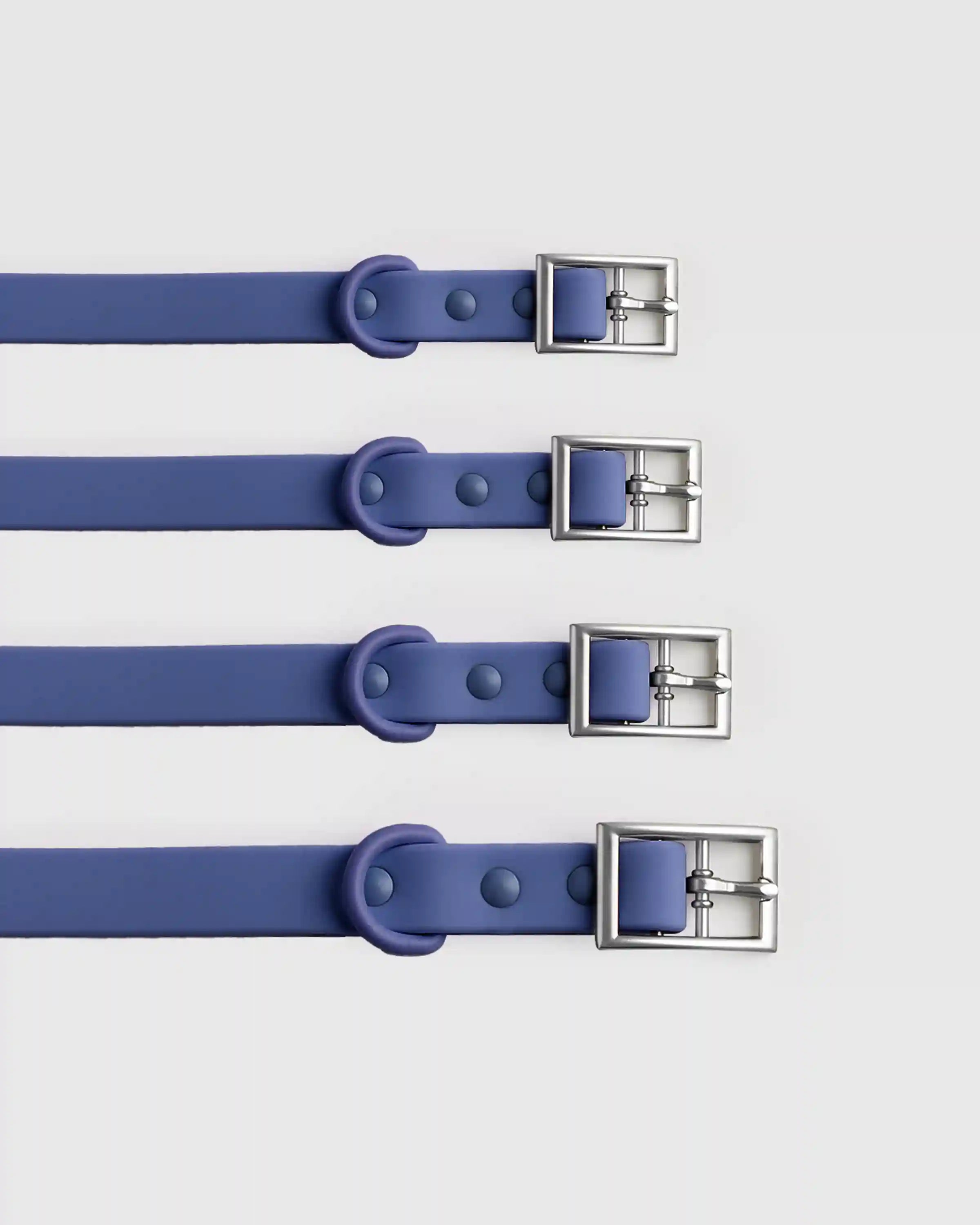 Flex-Poly Dog Collar