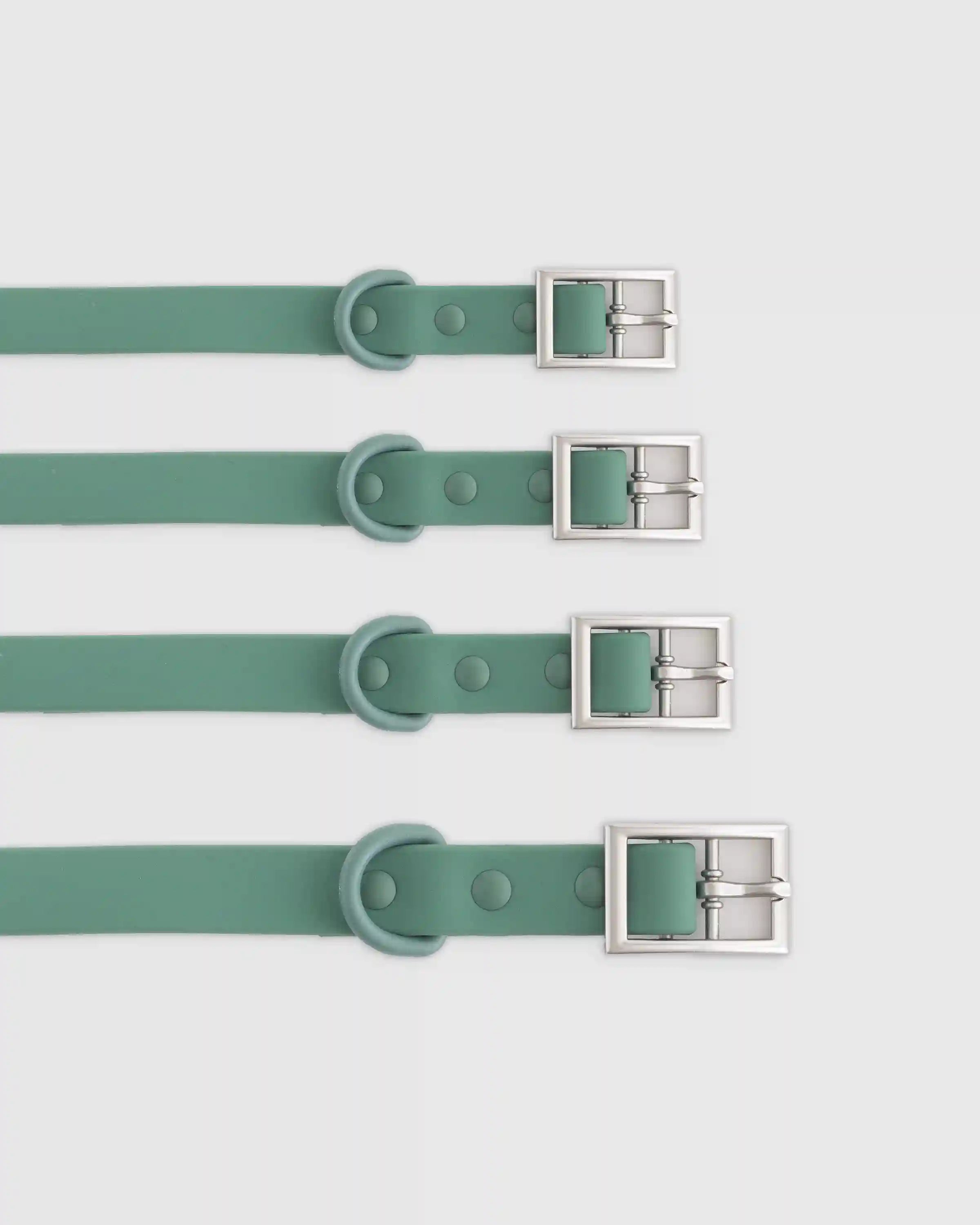 Dog Collar Walk Kit