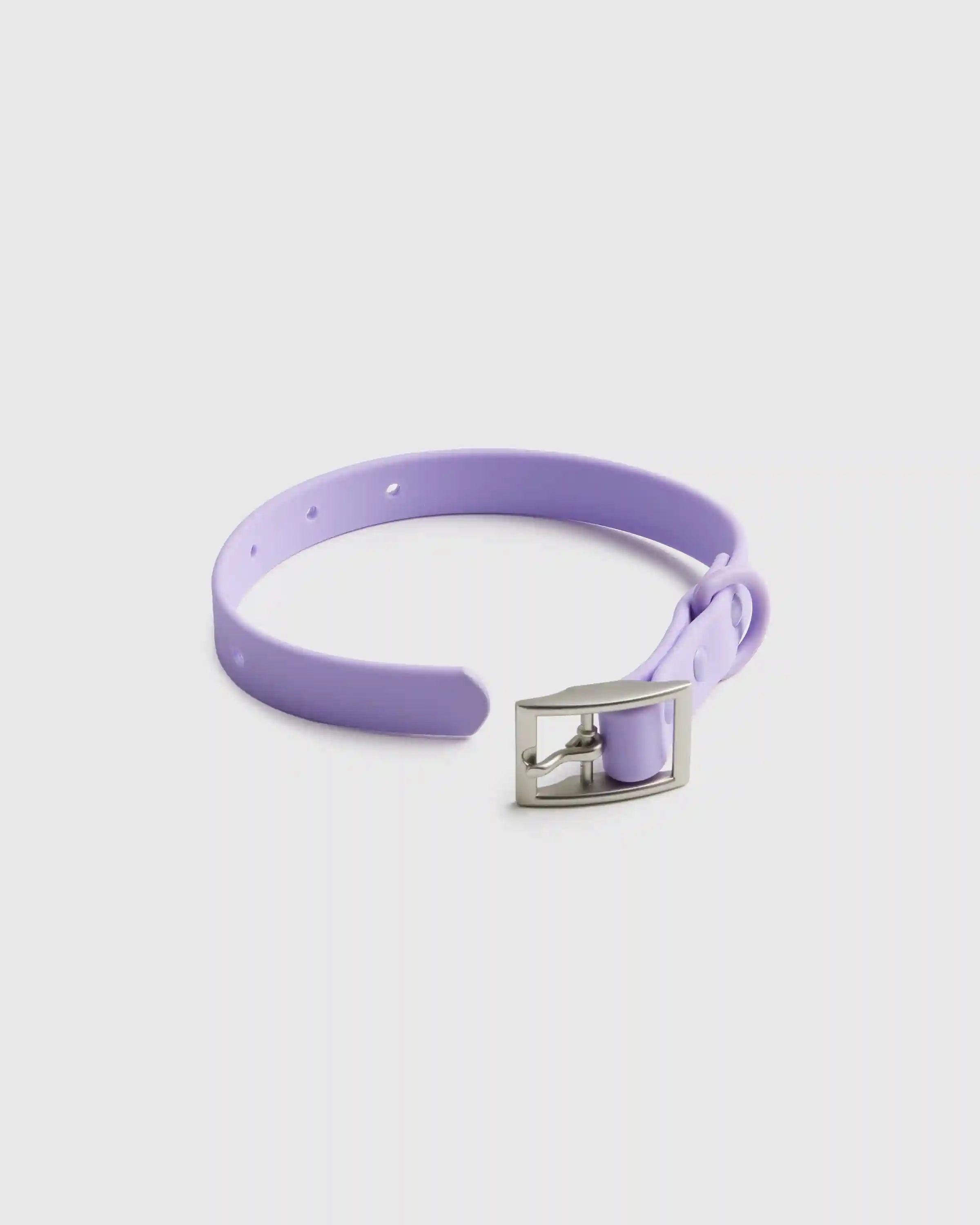 Flex-Poly Dog Collar