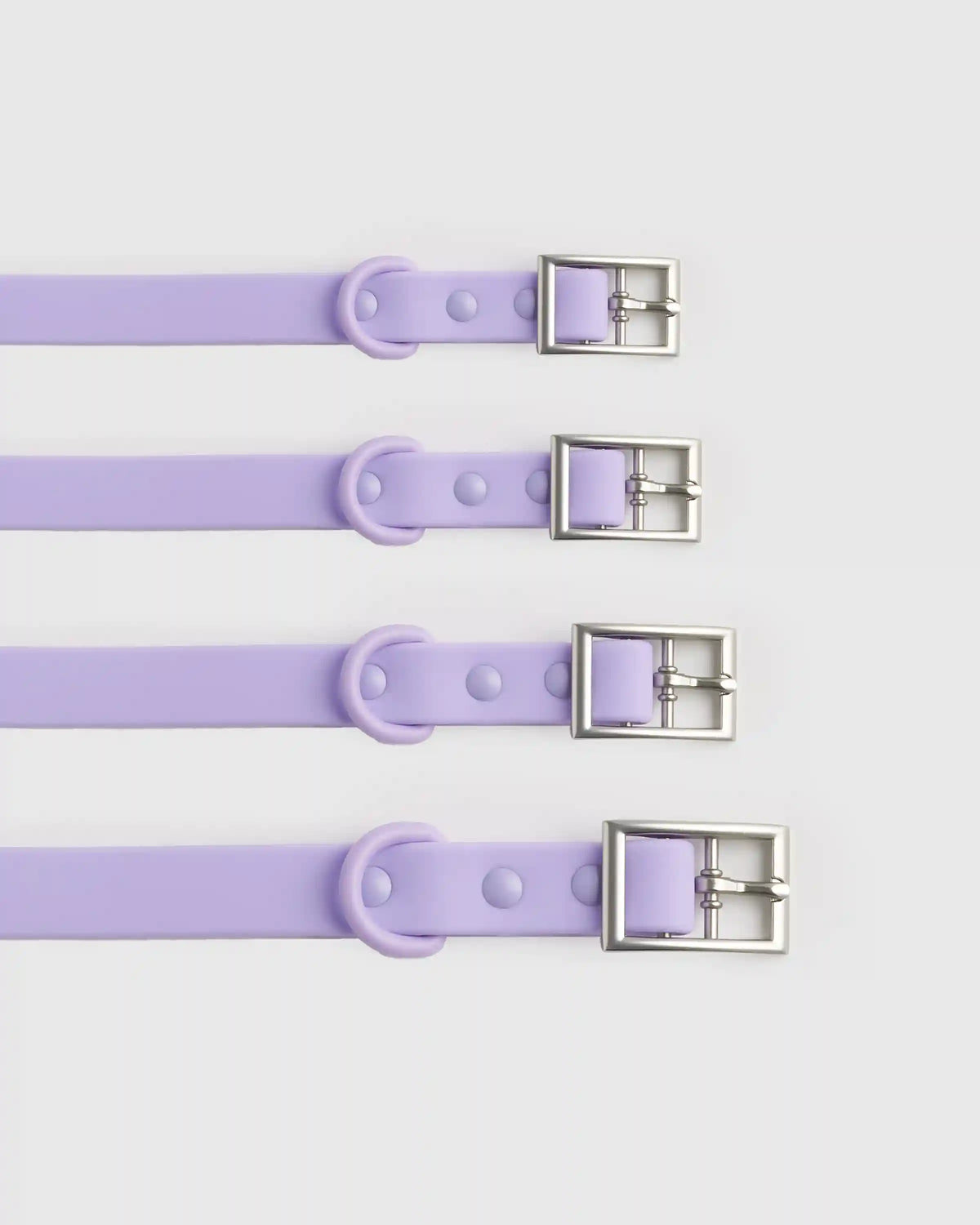 Dog Collar Walk Kit
