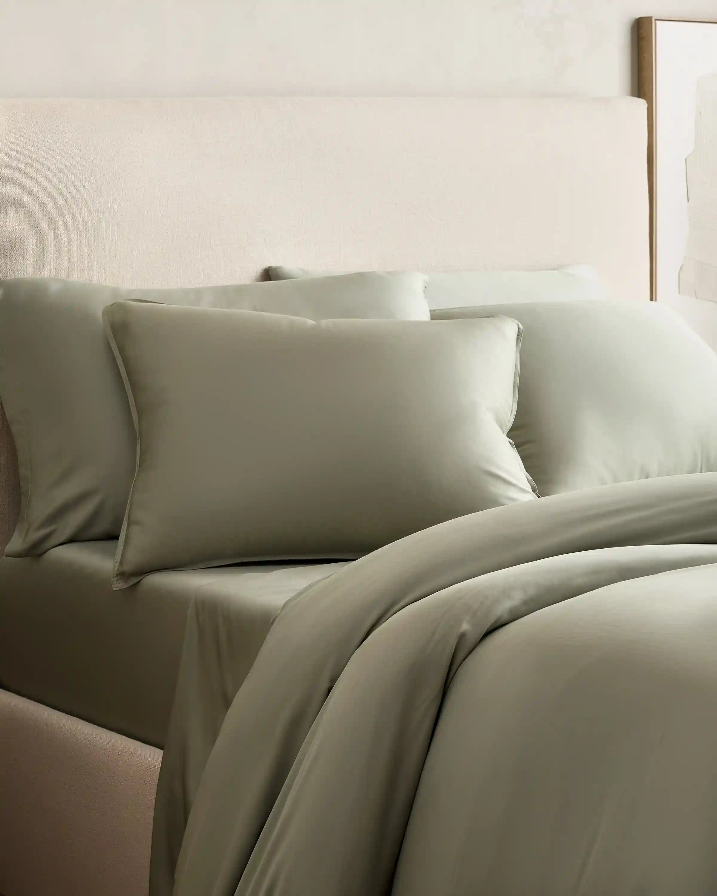 Bamboo Sham Set