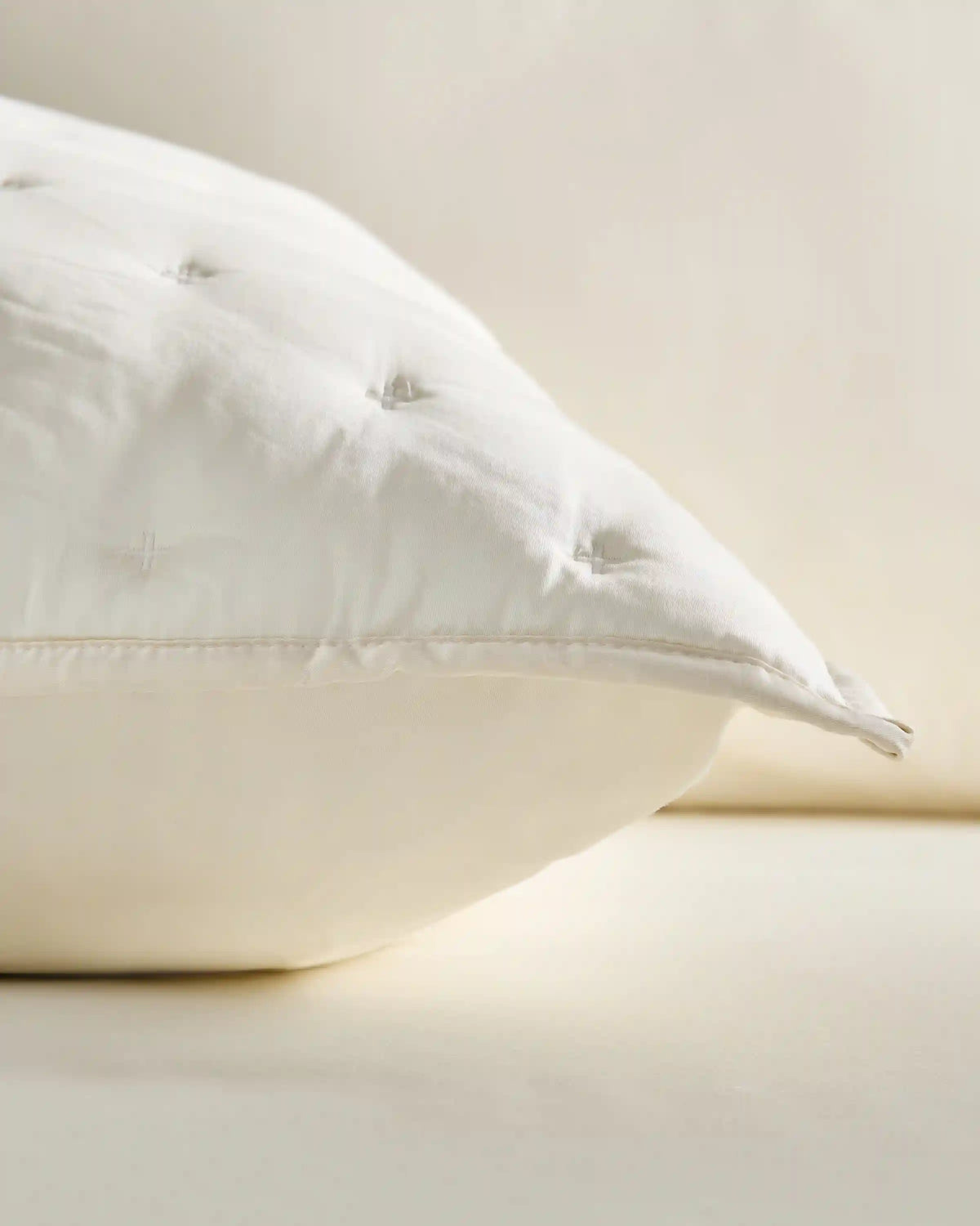 Bamboo Dream Quilted Euro Sham