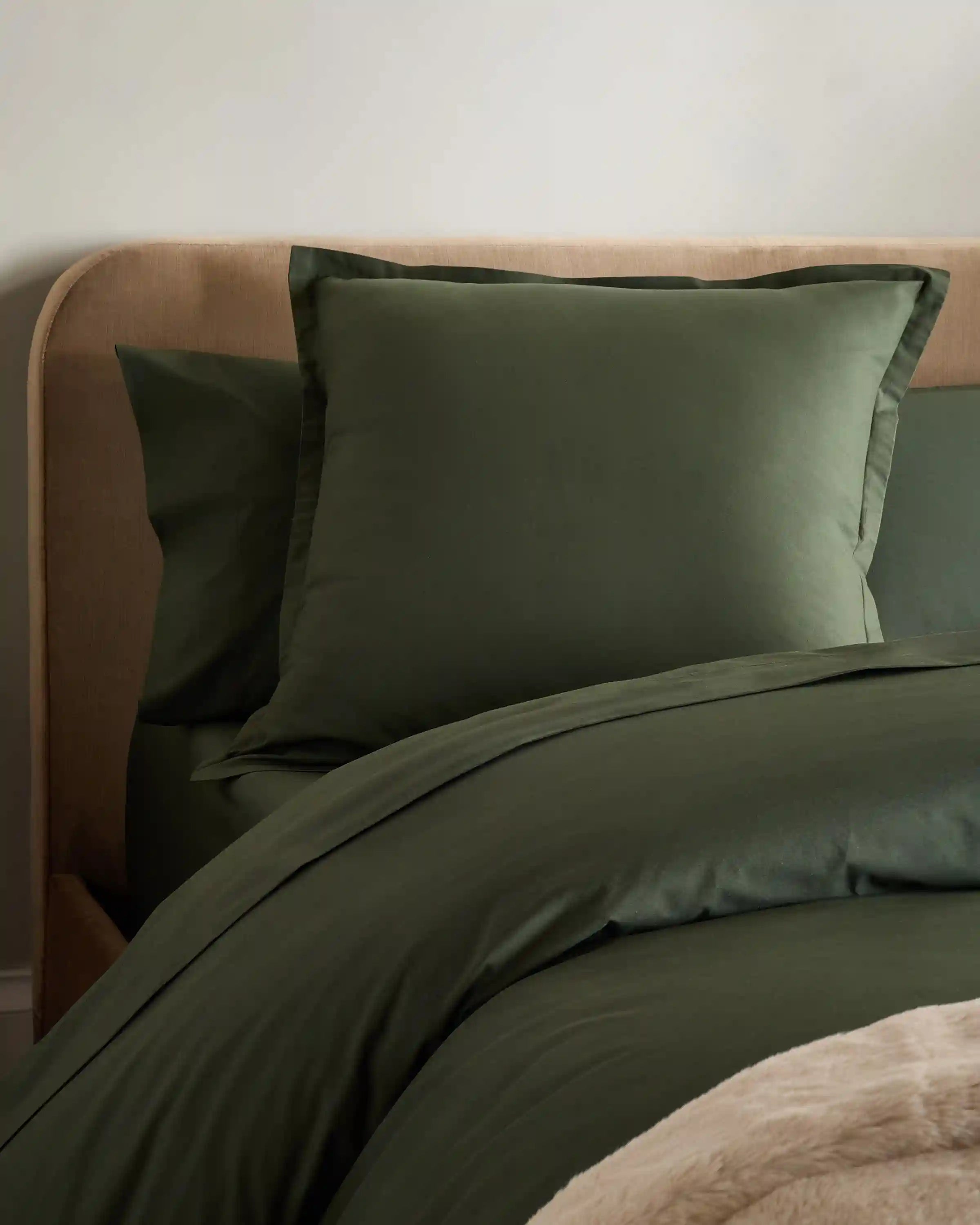 Organic Crisp Percale Euro Sham