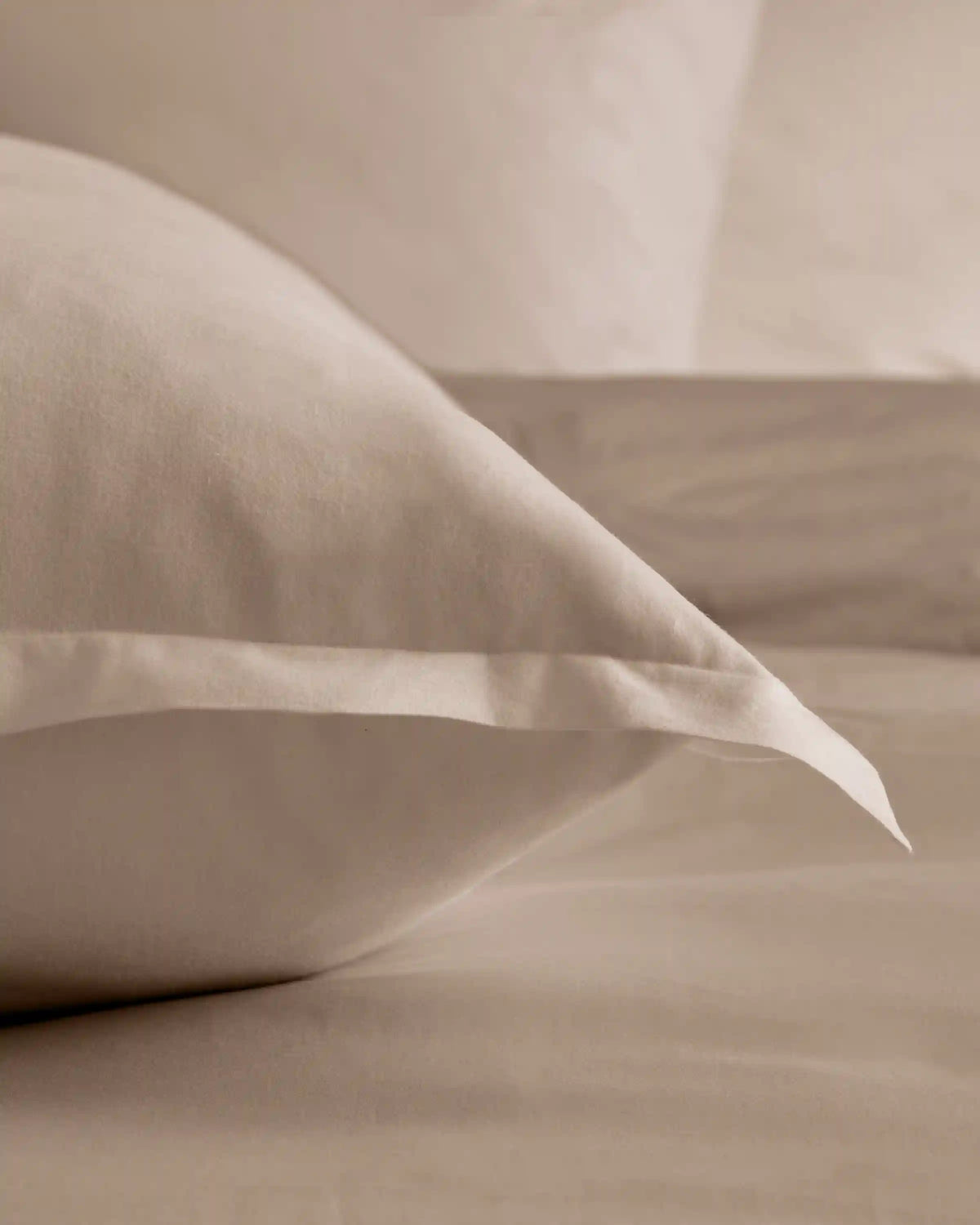 Organic Brushed Cotton Euro Sham