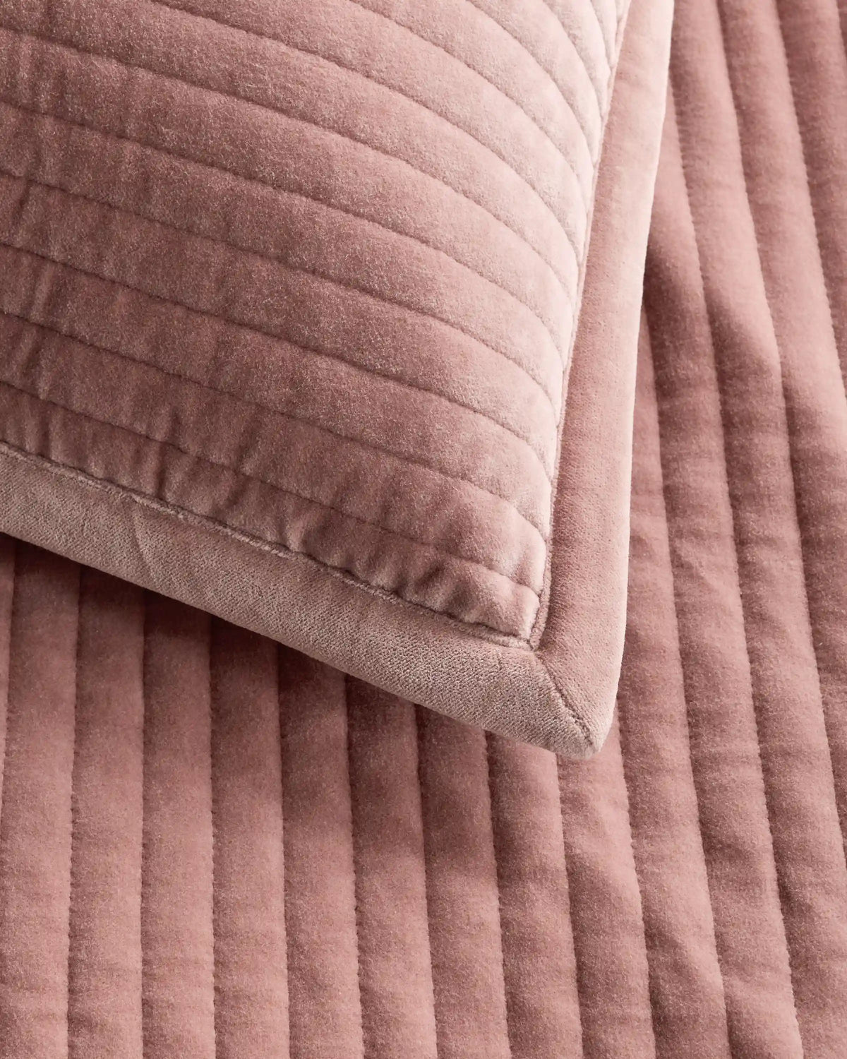 Cotton Velvet Narrow Channel Quilted Sham Set