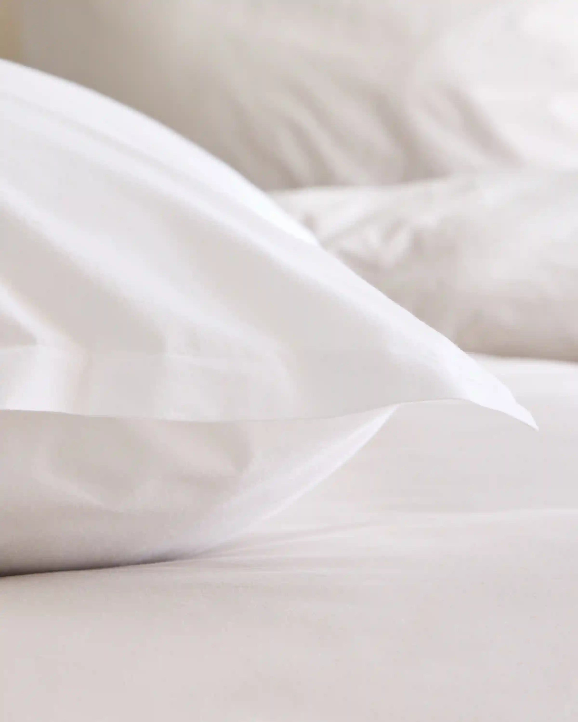 Organic Brushed Cotton Euro Sham