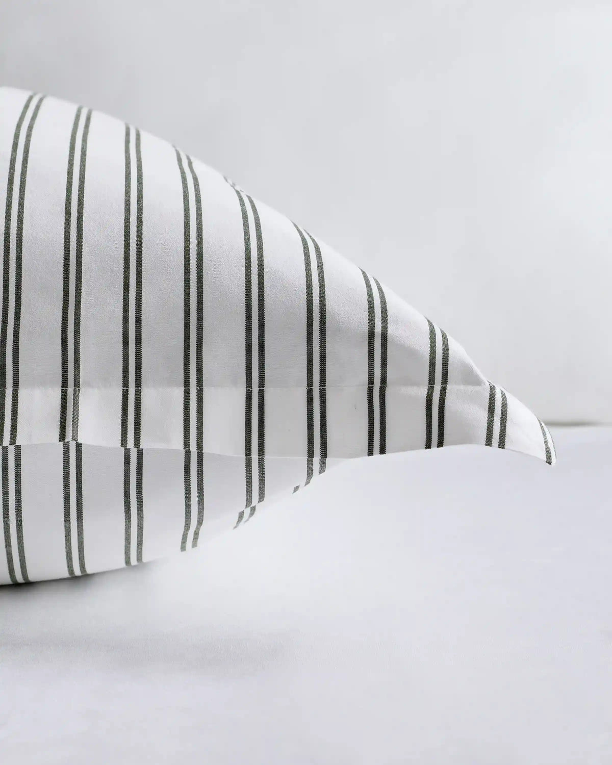 Organic Crisp Percale Euro Sham