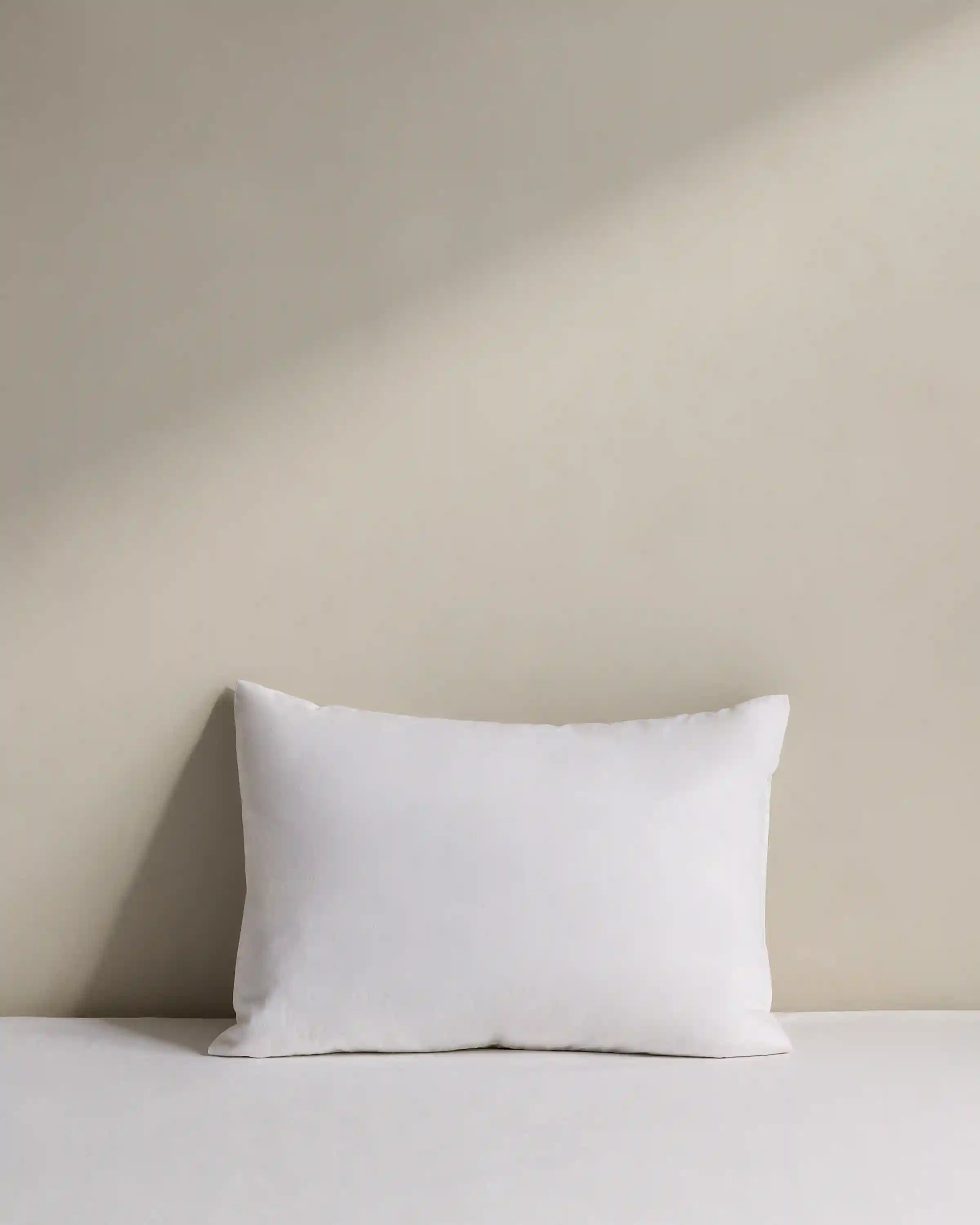Premium Feather Pillow Insert (Set of 2)
