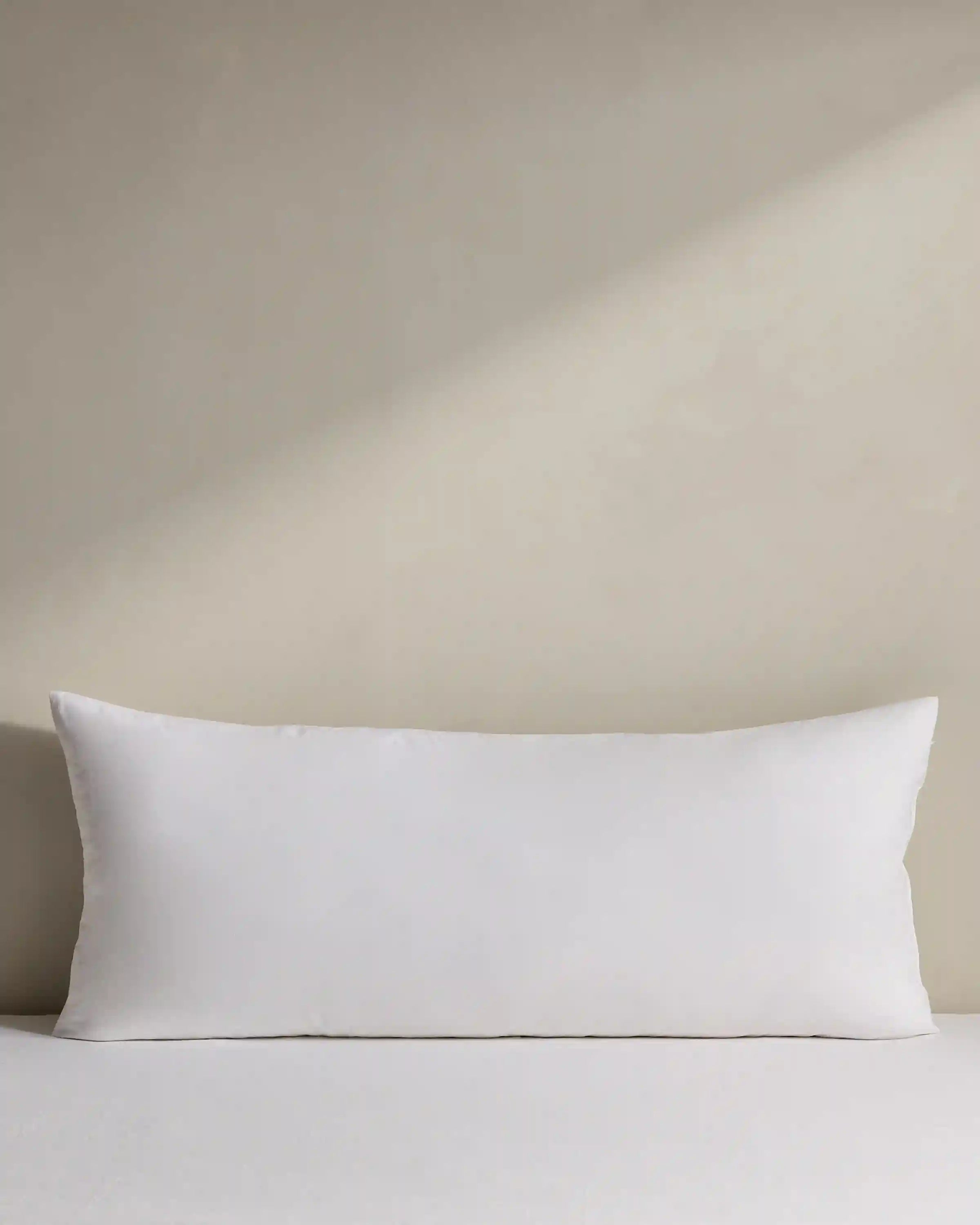Premium Feather Pillow Insert (Set of 2)