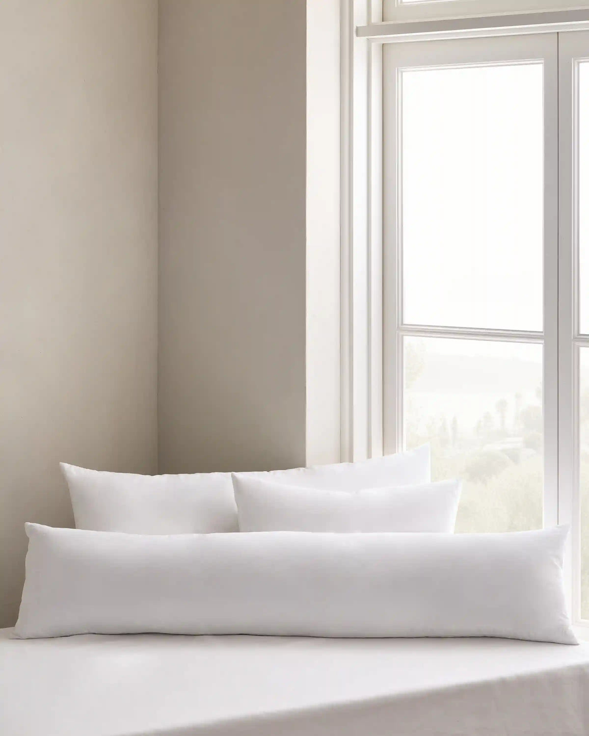 Premium Feather Pillow Insert (Set of 2)