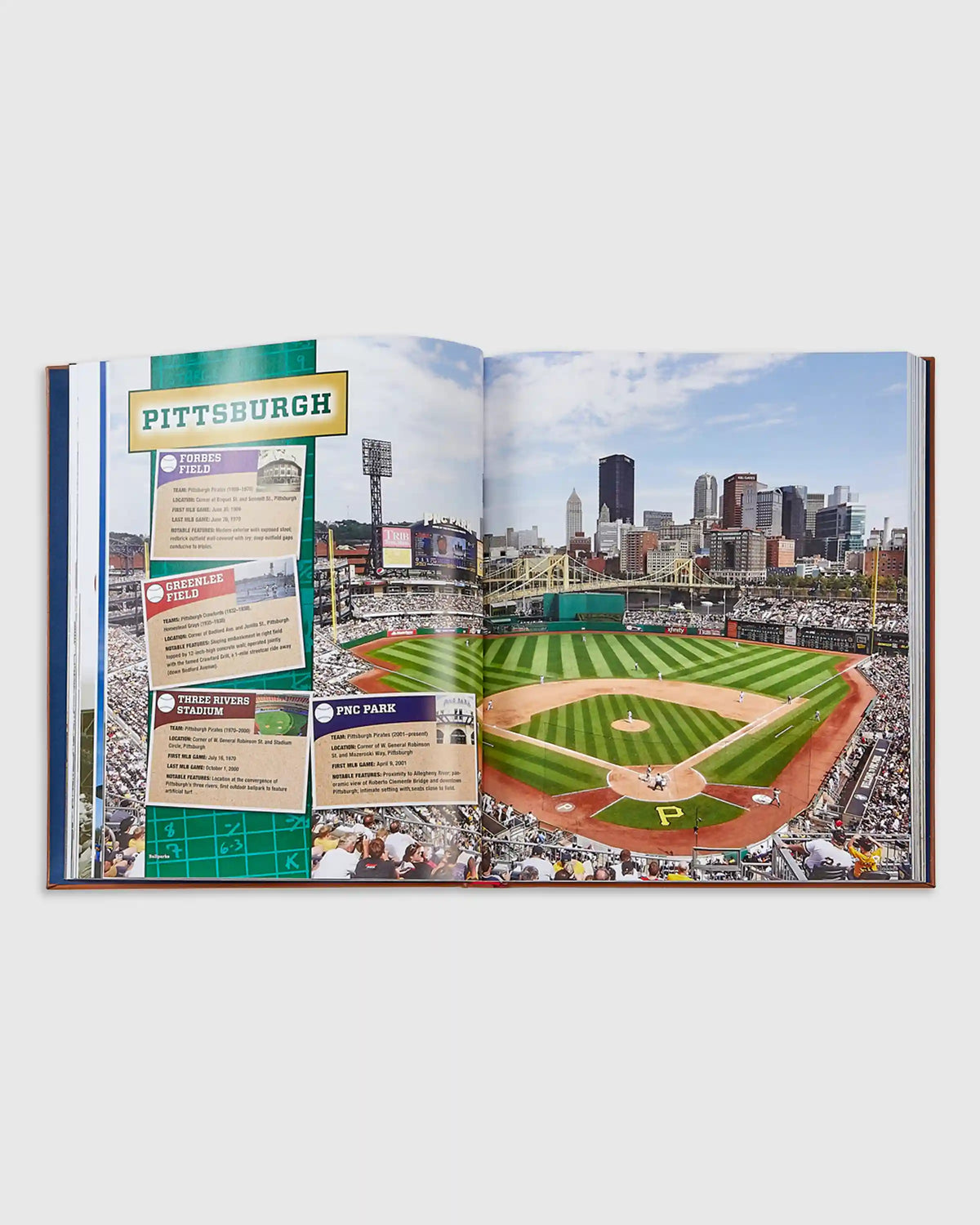 Ballparks Past and Present Leather Bound Book