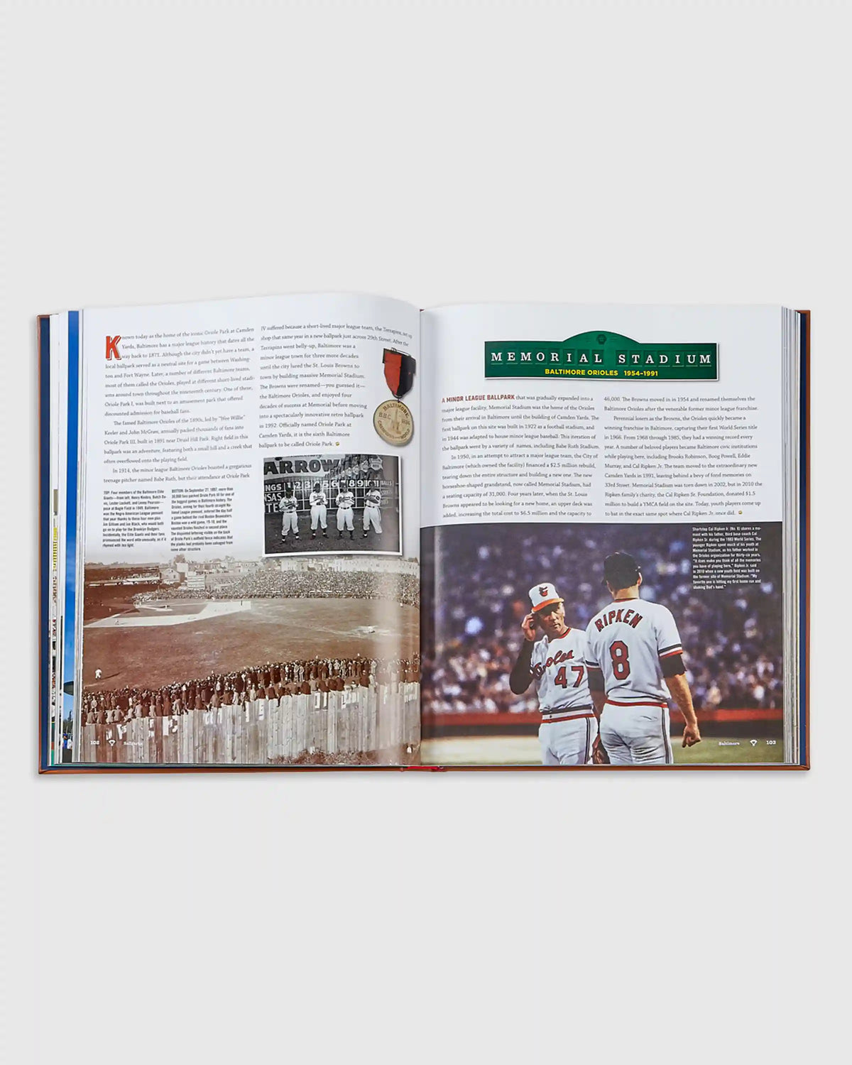 Ballparks Past and Present Leather Bound Book
