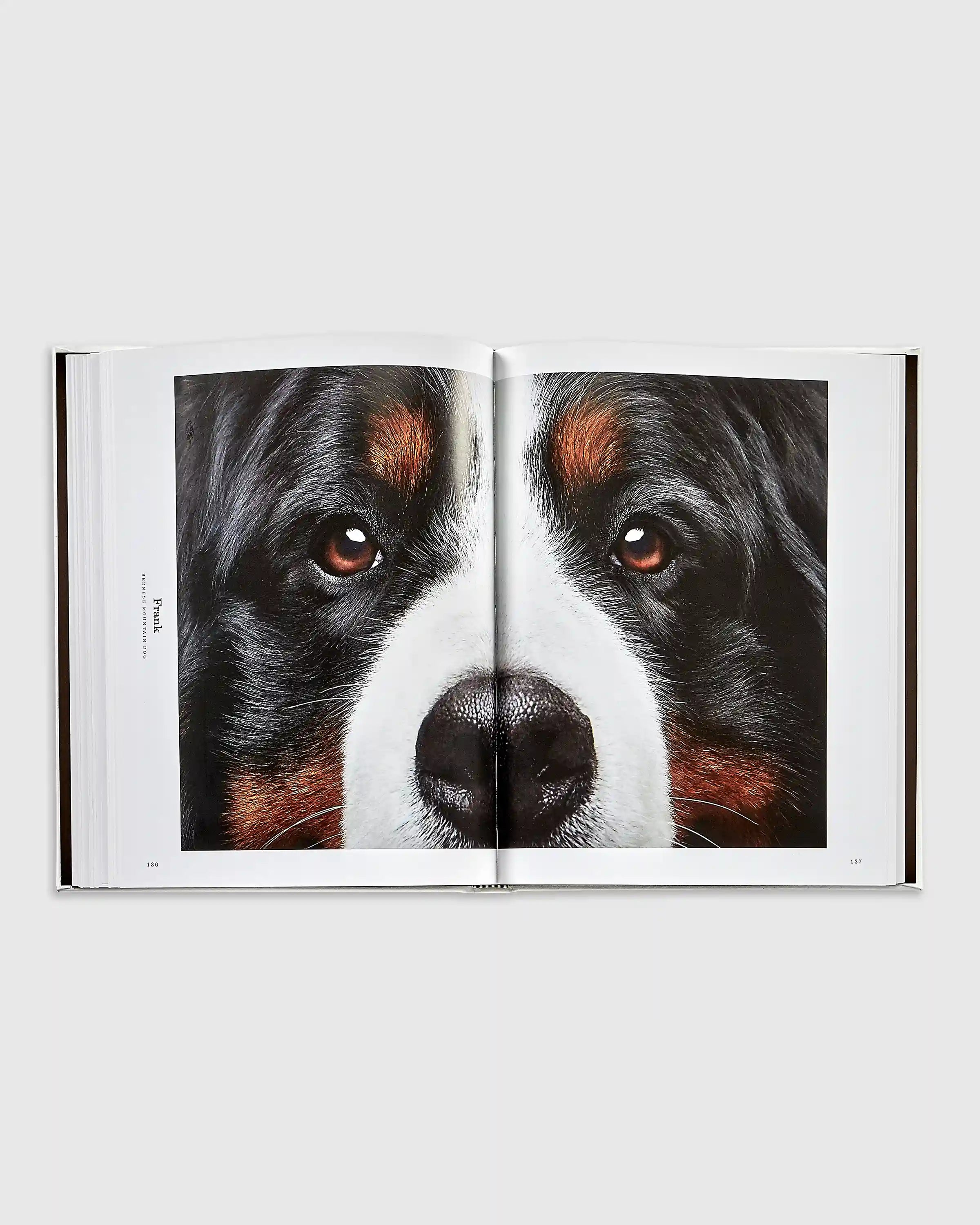 Good Dog Leather Bound Book