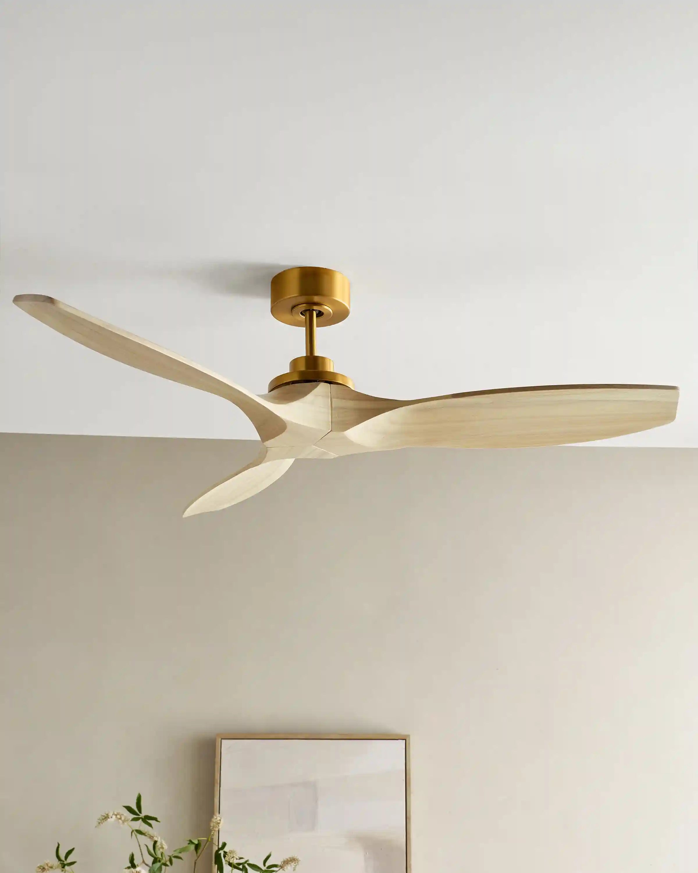 Transitional Wood Blade Ceiling Fan