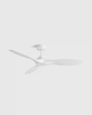 Outdoor Transitional Ceiling Fan