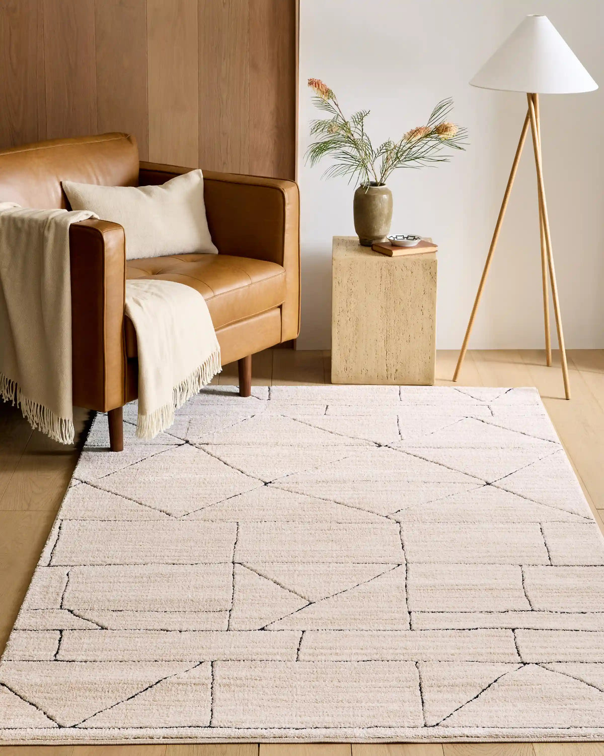 Cole Performance Rug