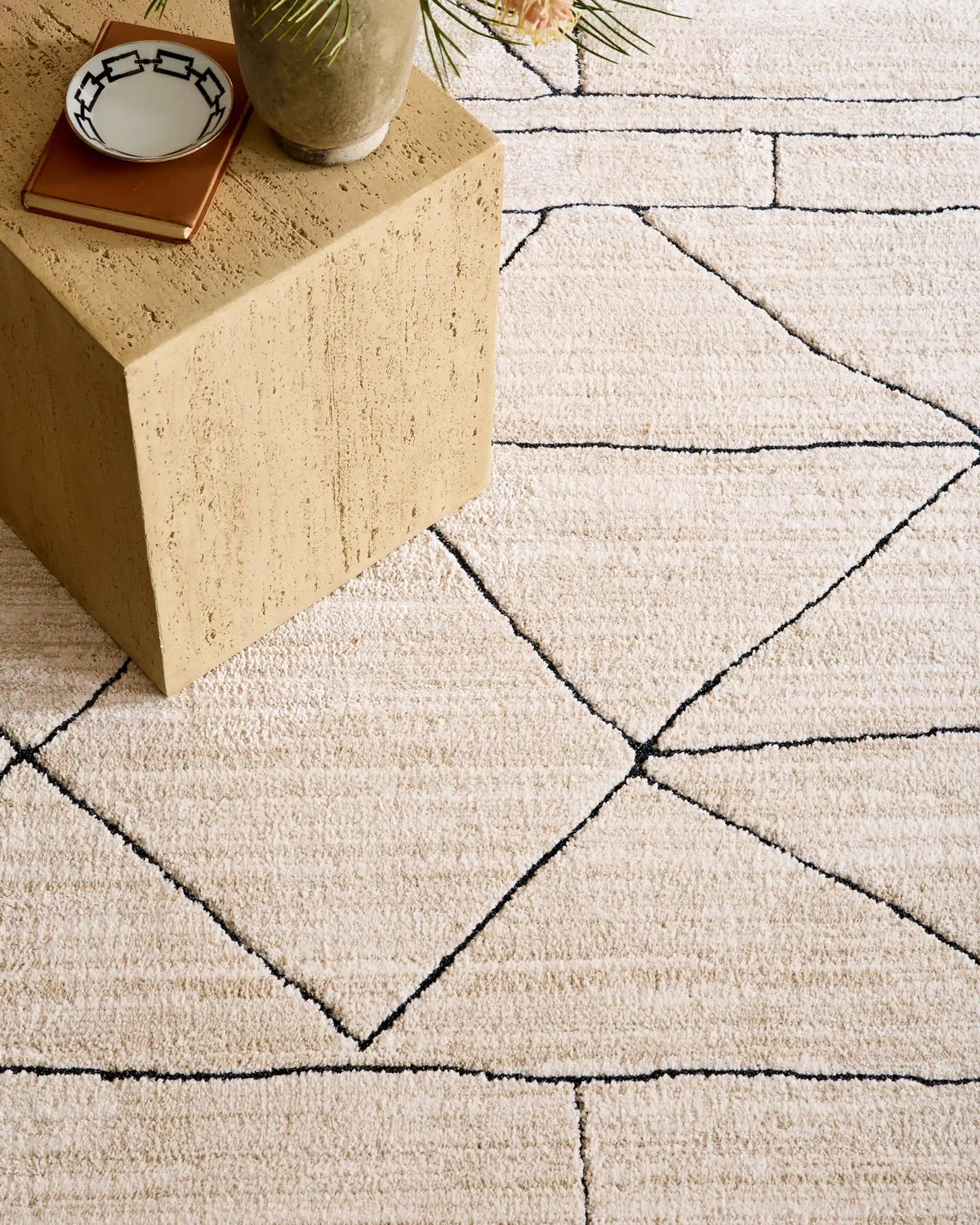 Cole Performance Rug