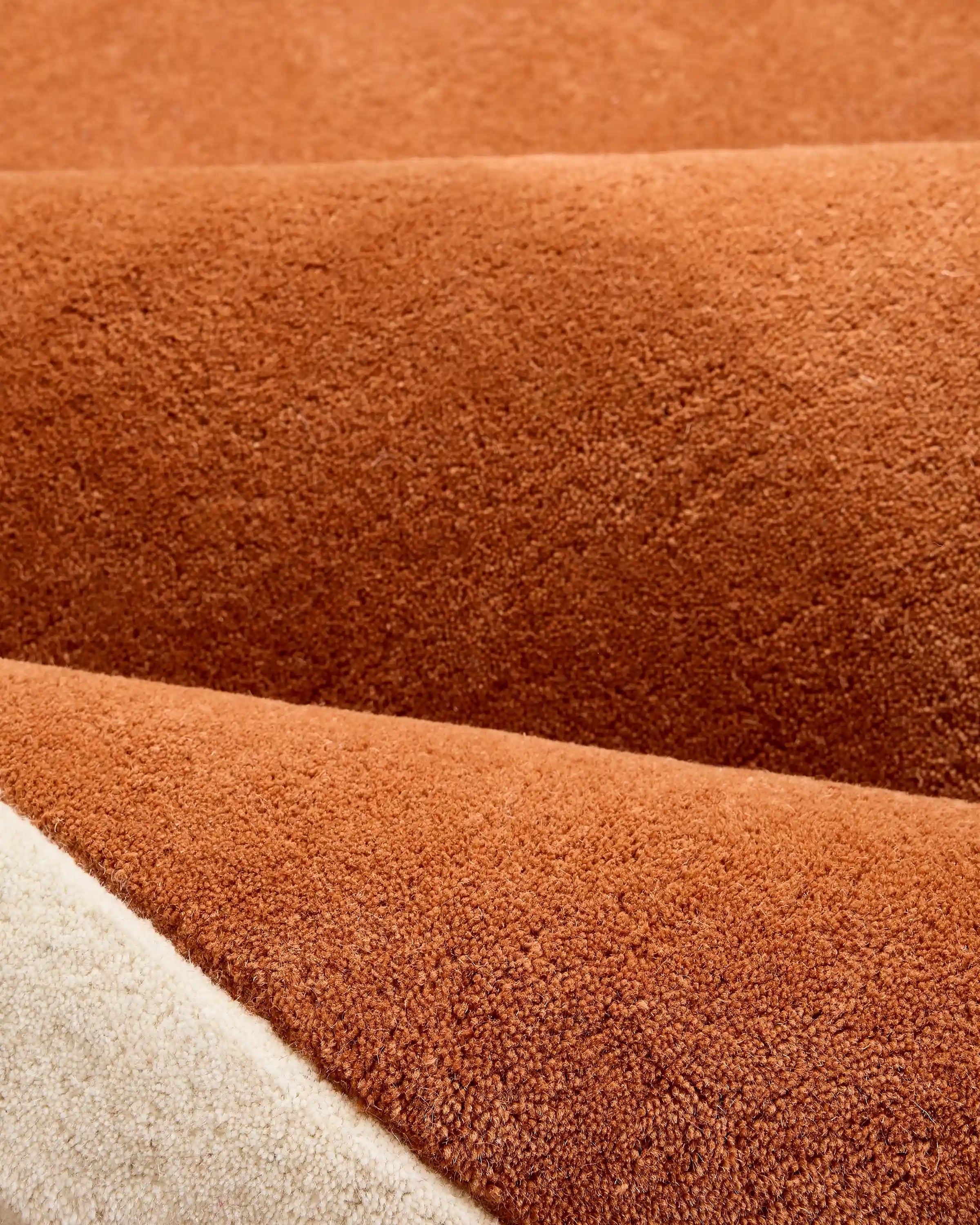 Colorful Curves Hand-Tufted Rug