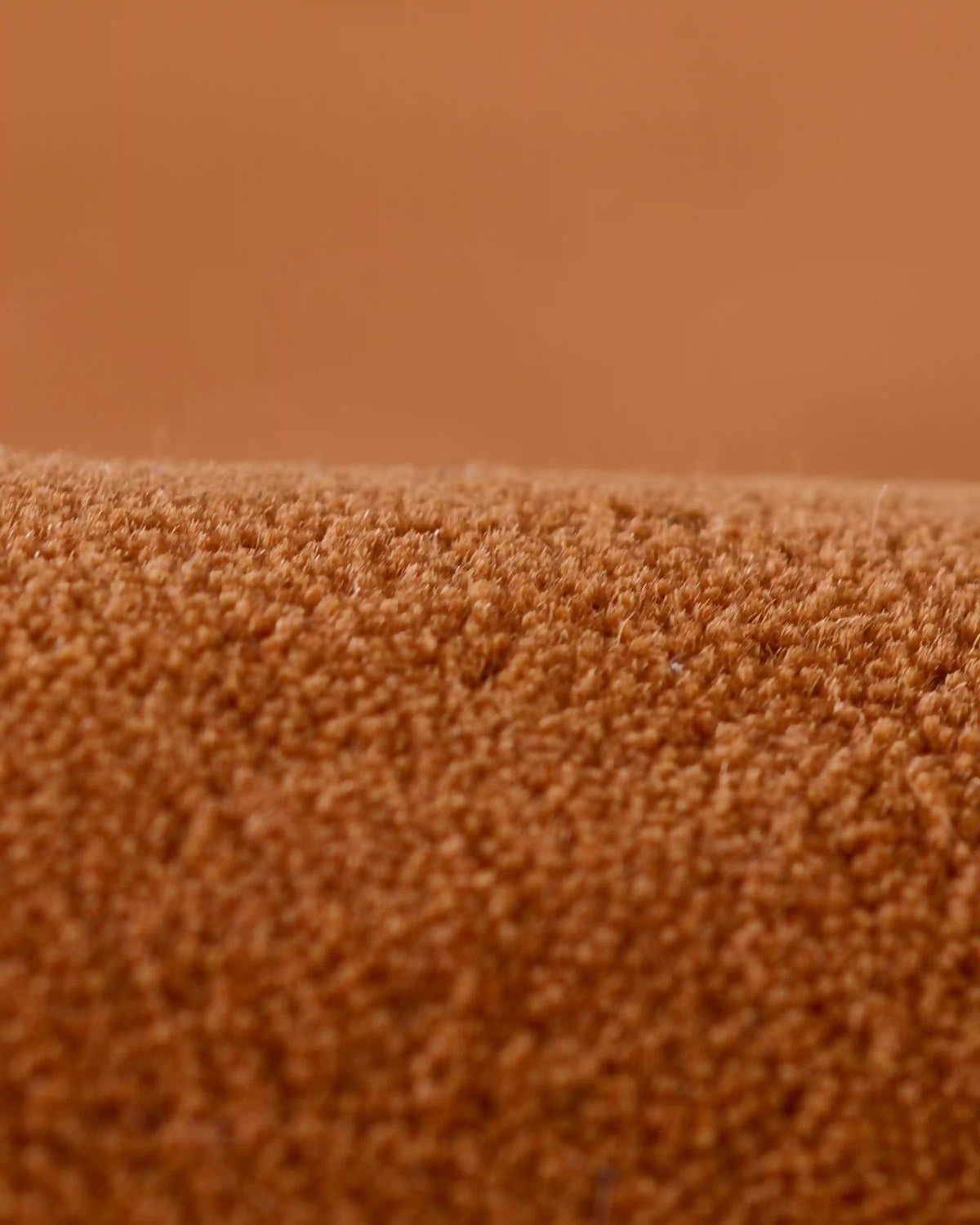 Colorful Curves Hand-Tufted Rug