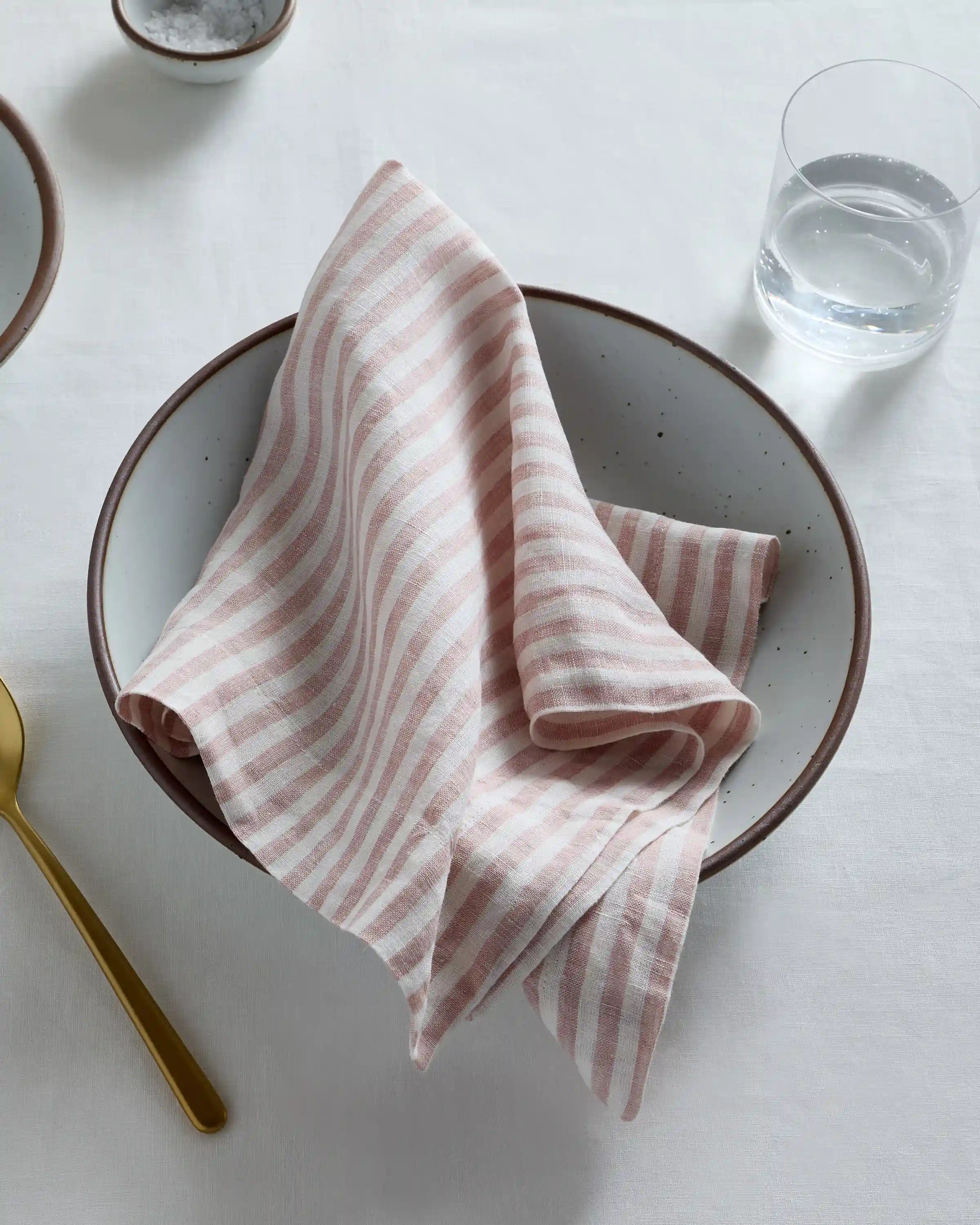 European Linen Wide-Hem Stripe Napkins, Set of 12
