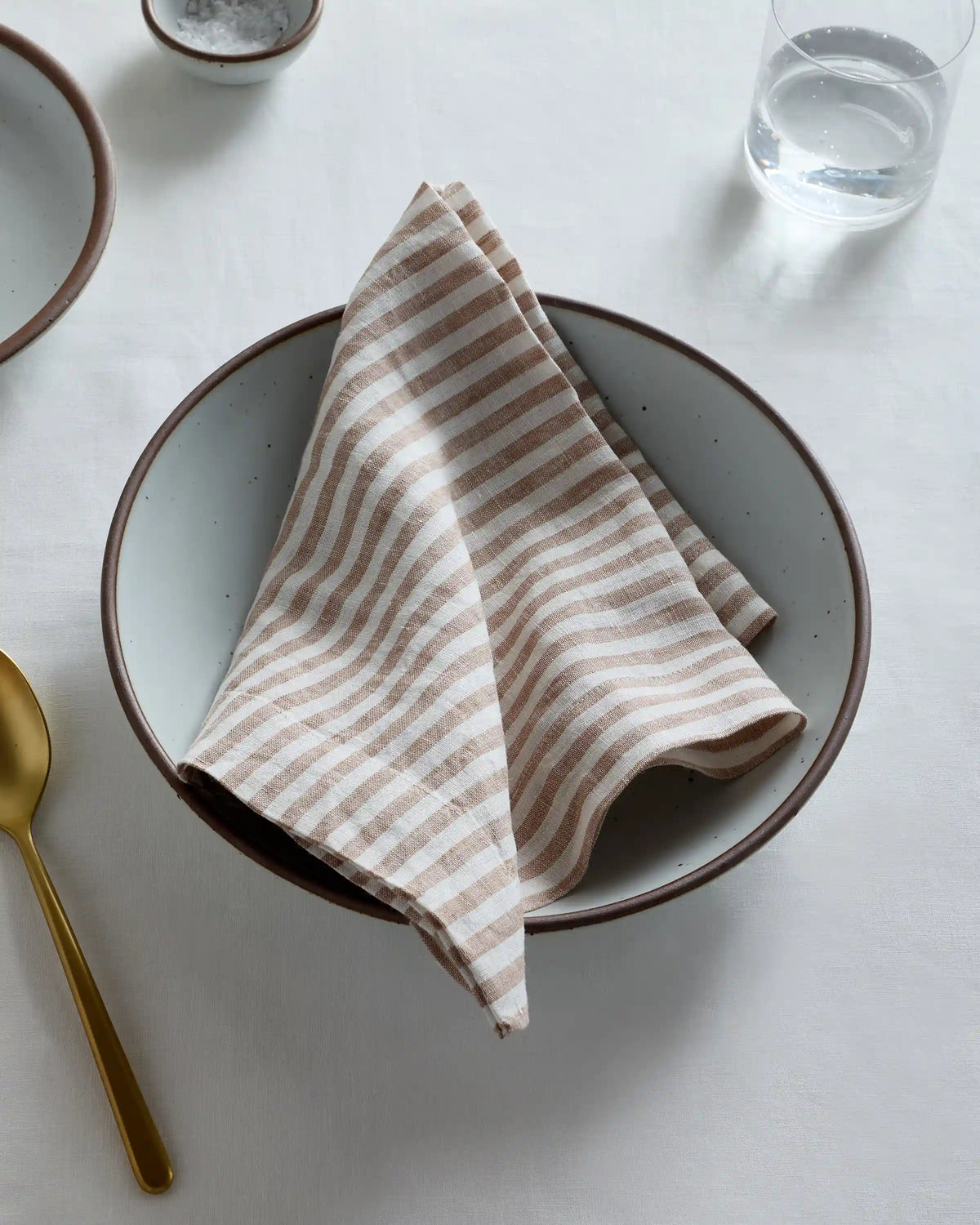 European Linen Wide-Hem Stripe Napkins, Set of 12