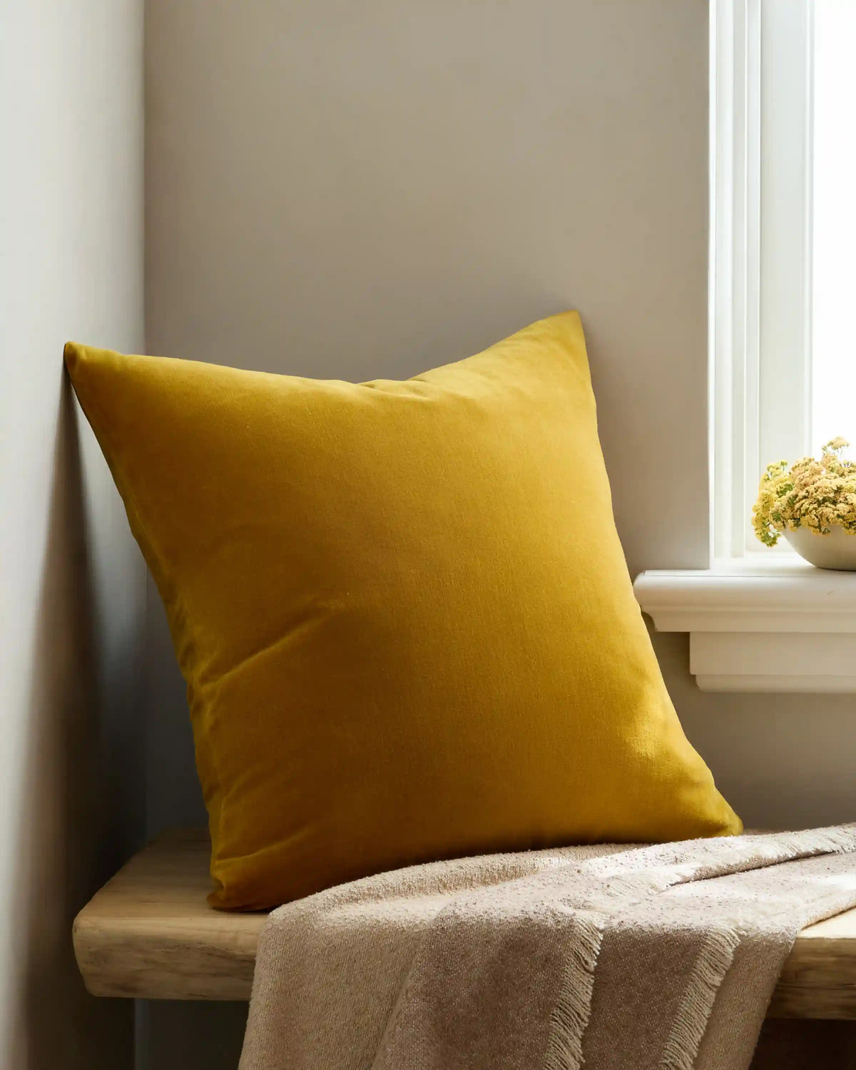 Classic Cotton Velvet Pillow Cover (Set of 2)