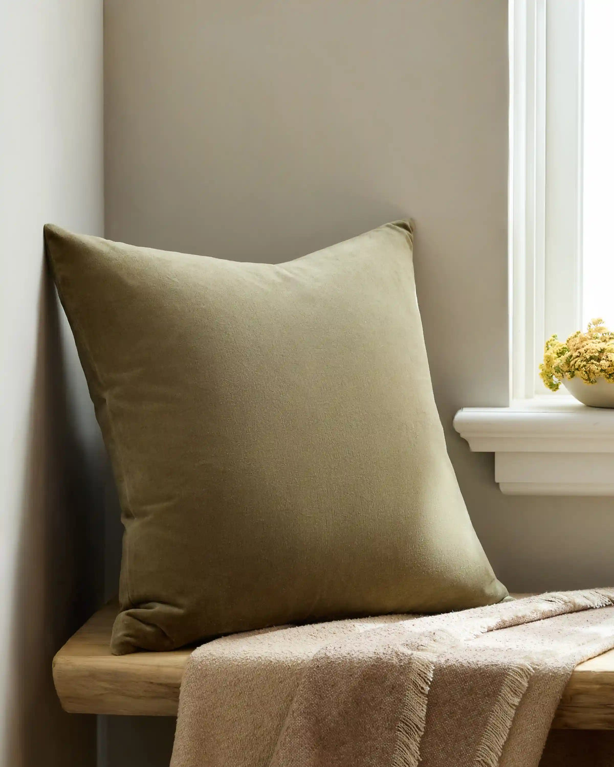 Classic Cotton Velvet Pillow Cover (Set of 2)