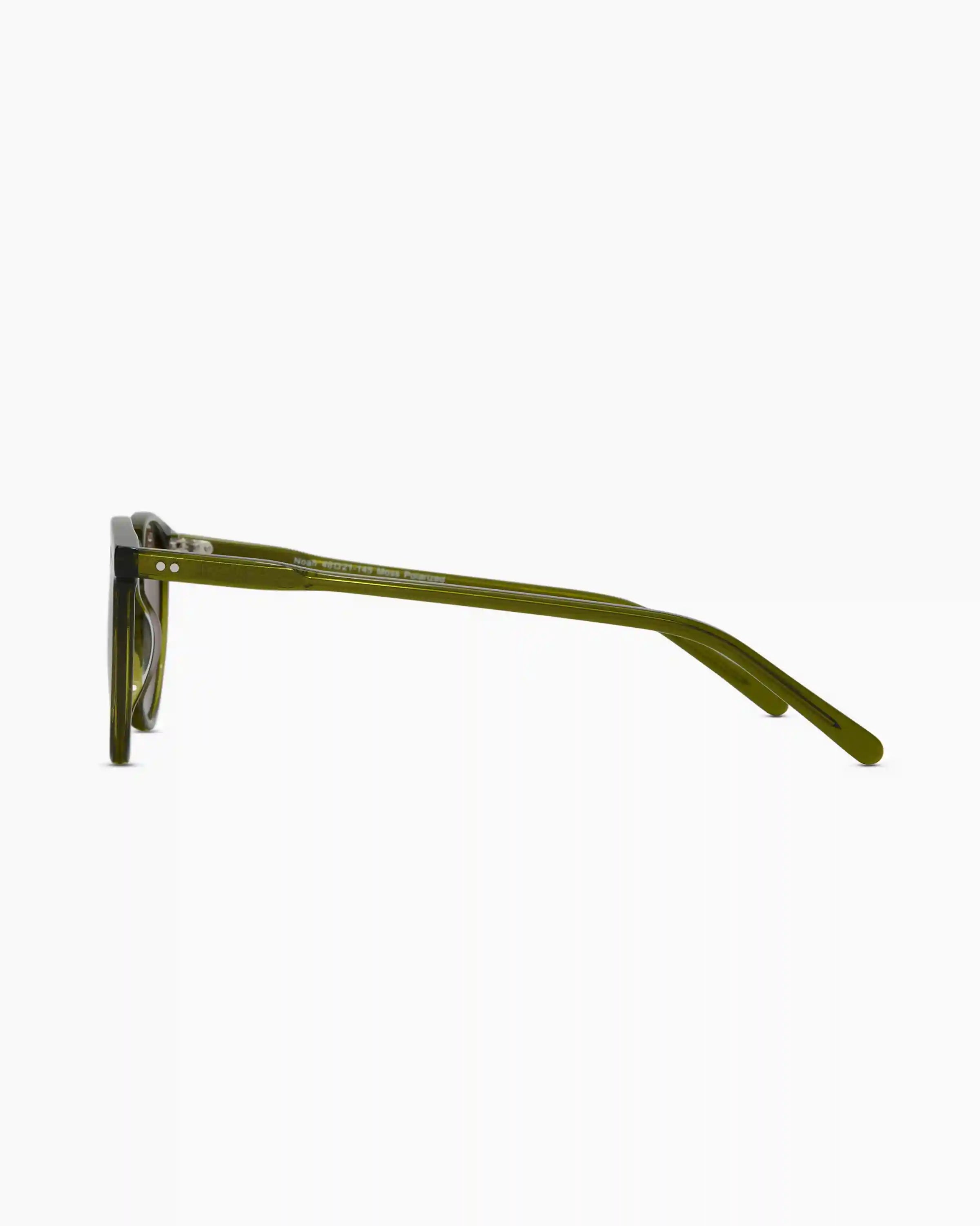 Noah Polarized Acetate Sunglasses
