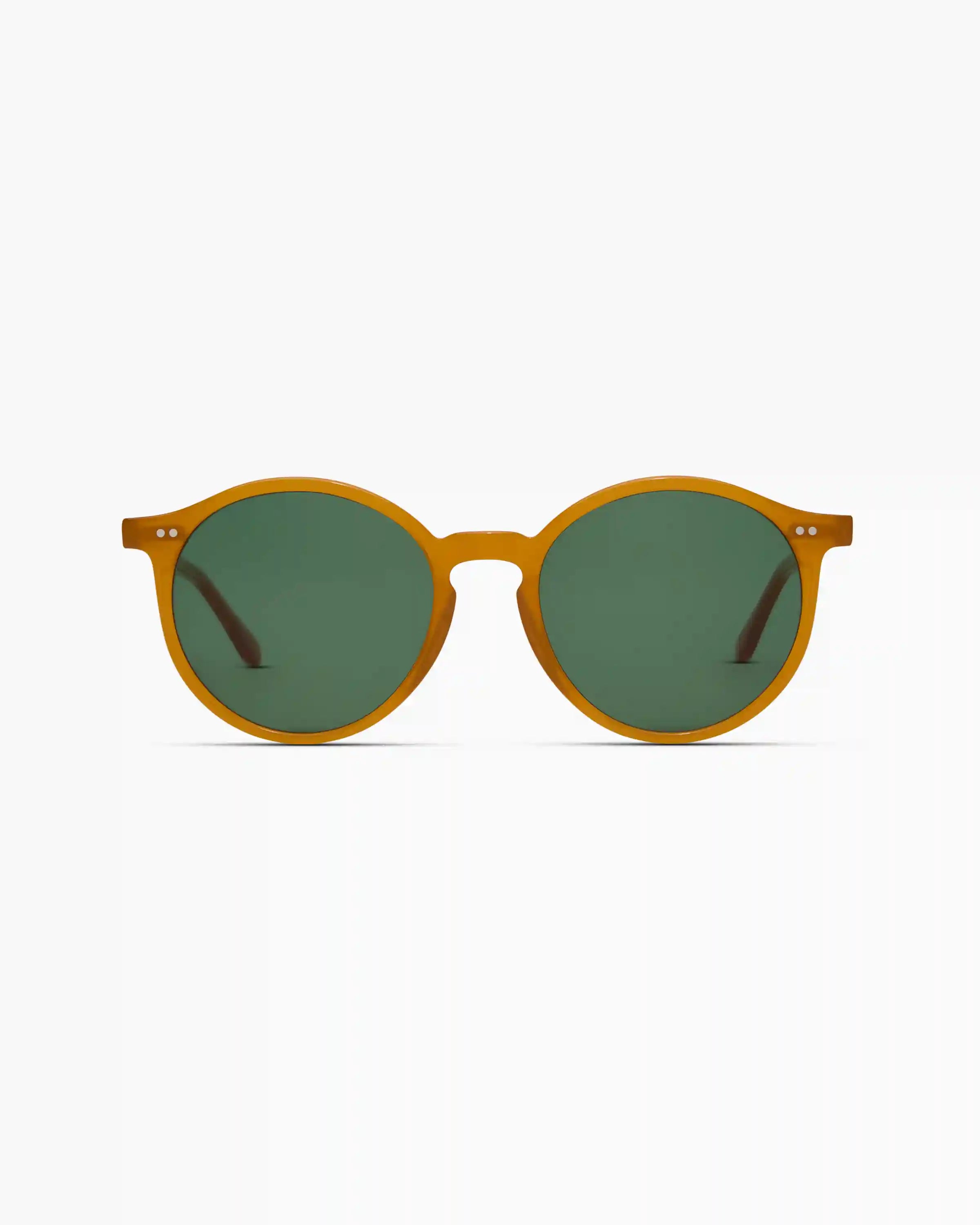 Brixton Polarized Acetate Sunglasses