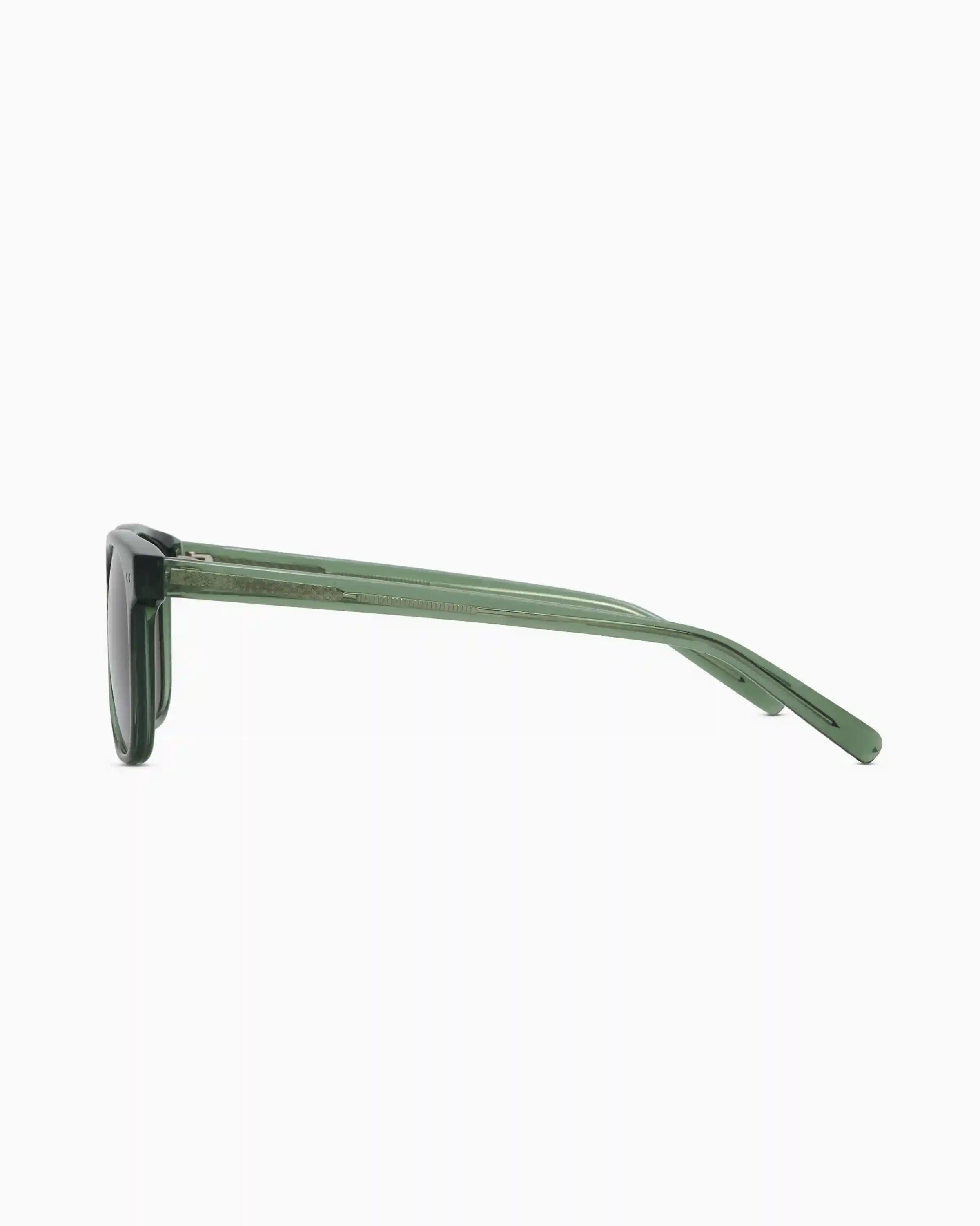 Boston Polarized Acetate Sunglasses