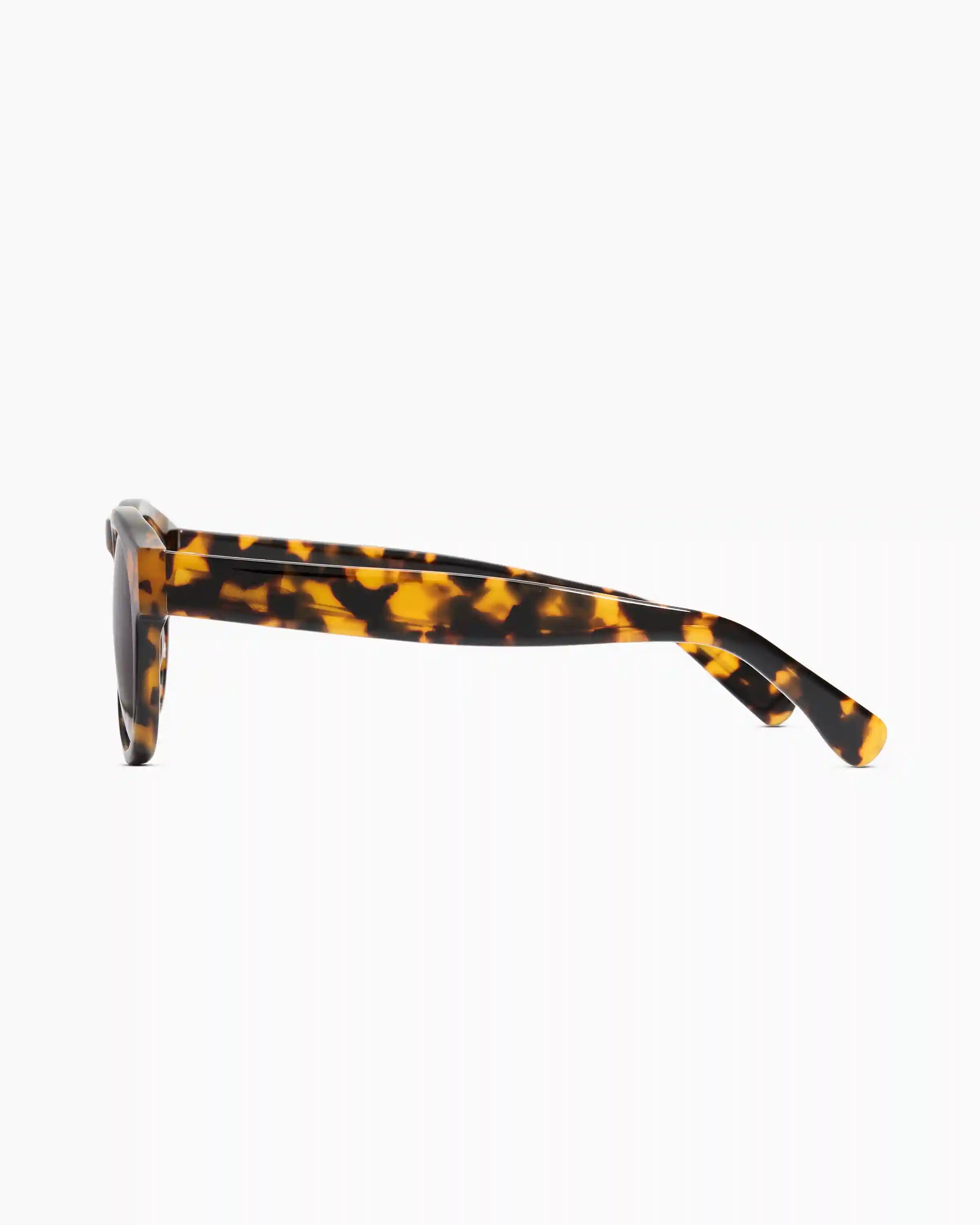 Tuscon Polarized Acetate Sunglasses