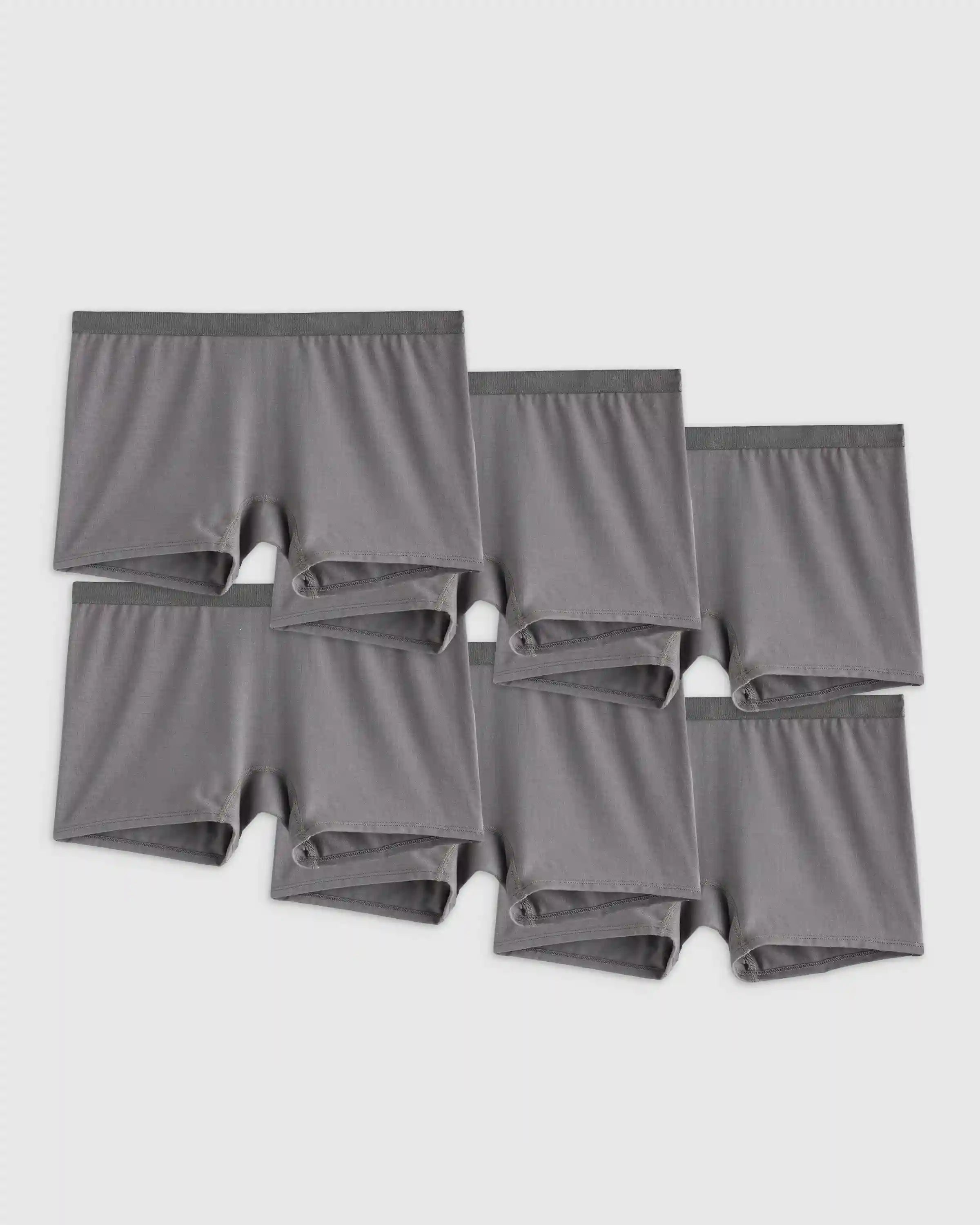 Micromodal Boyshort (6-pack)