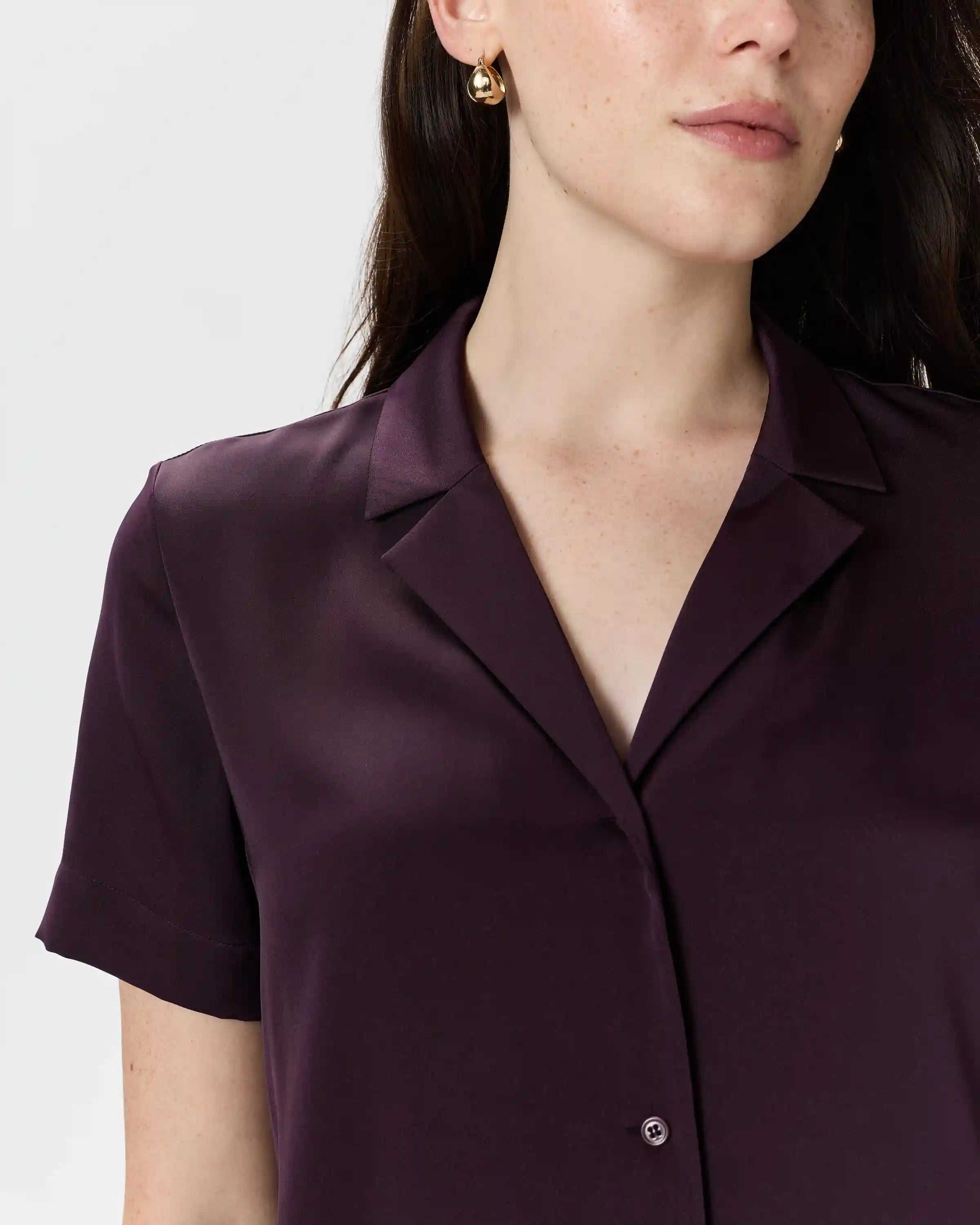 Washable Stretch Silk Short Sleeve Notch Collar Blouse