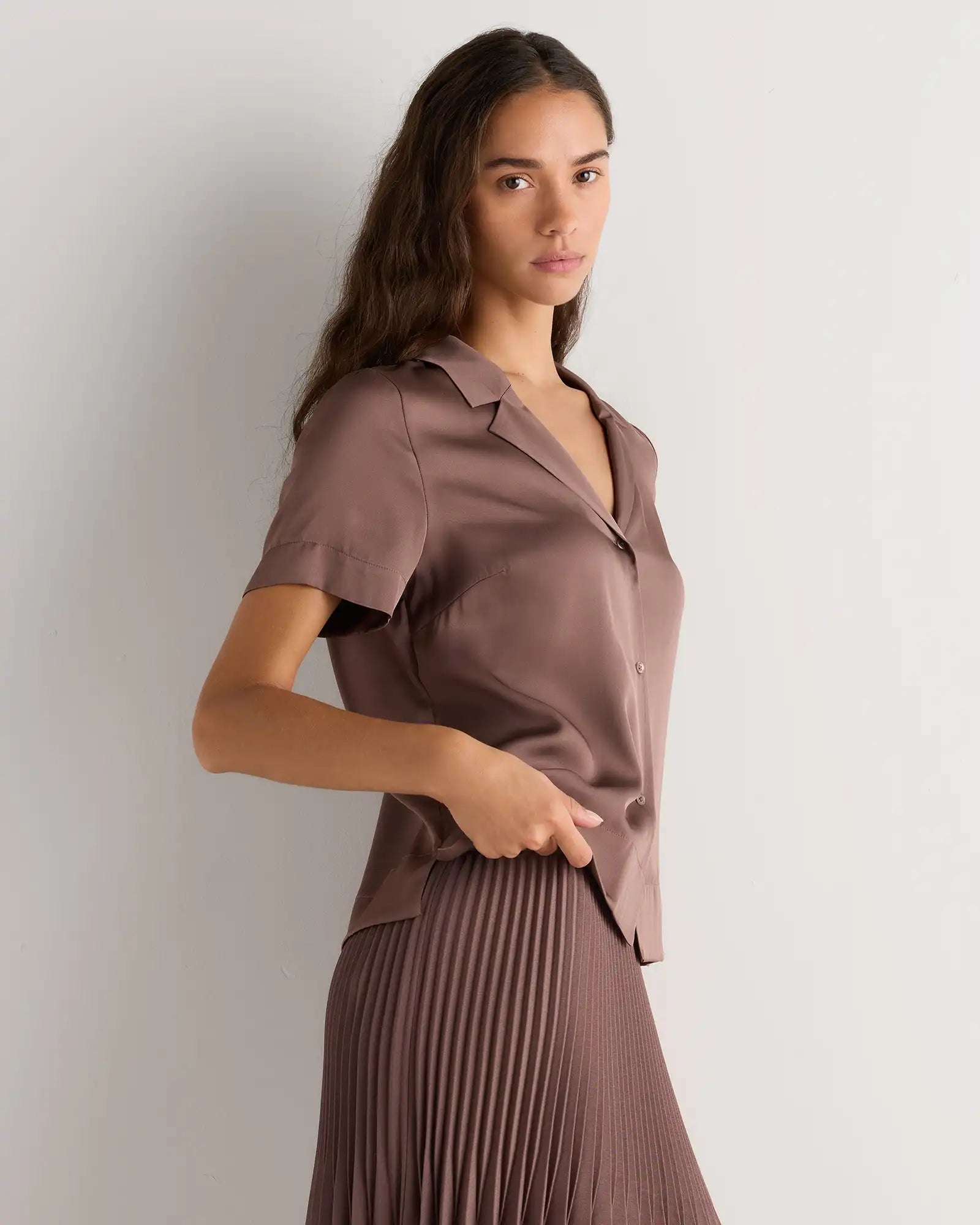 Washable Stretch Silk Short Sleeve Notch Collar Blouse