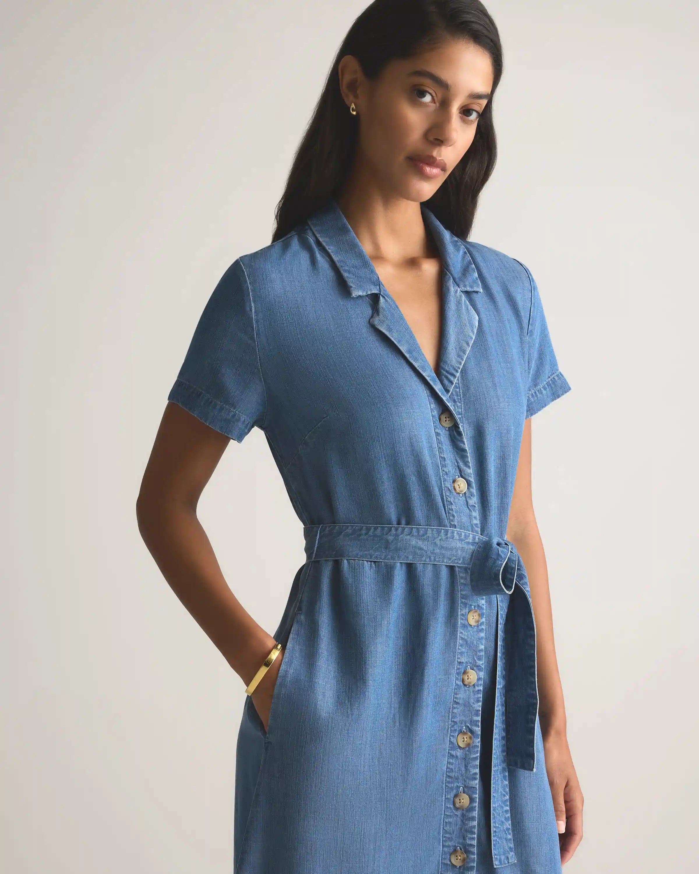 Chambray Tencel Button Front Dress