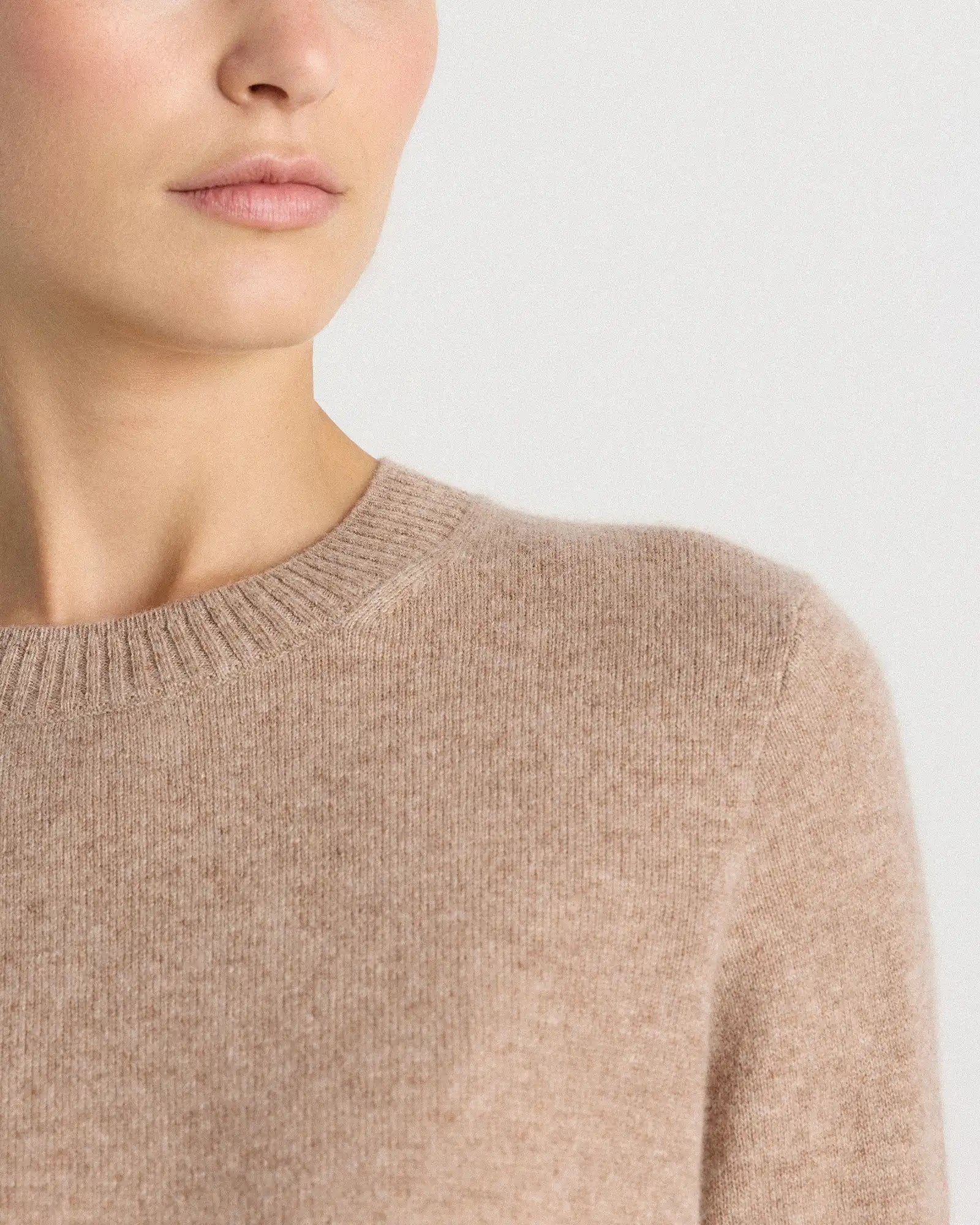 Mongolian Cashmere Shrunken Crewneck Sweater