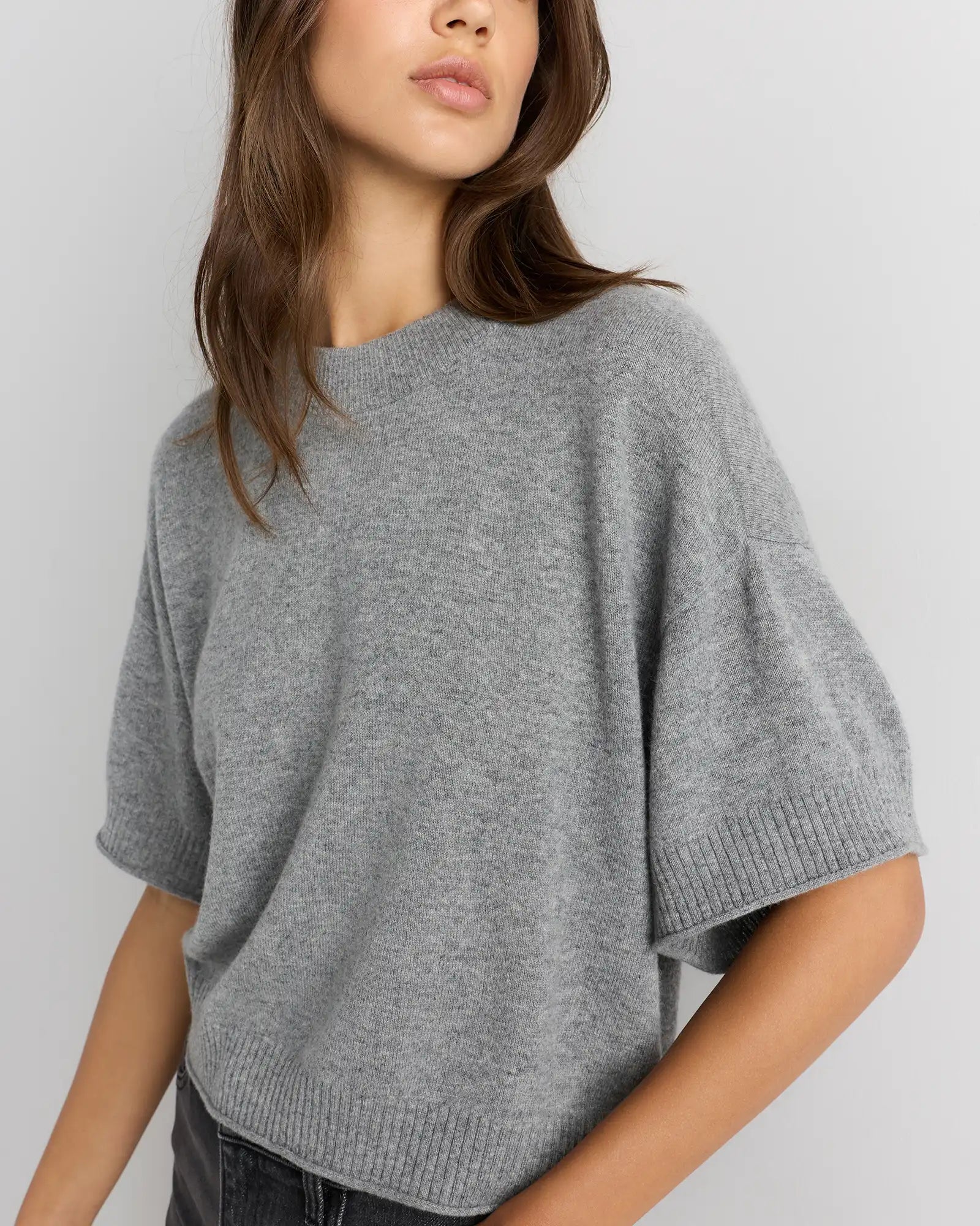 Mongolian Cashmere Cropped Oversized Tee