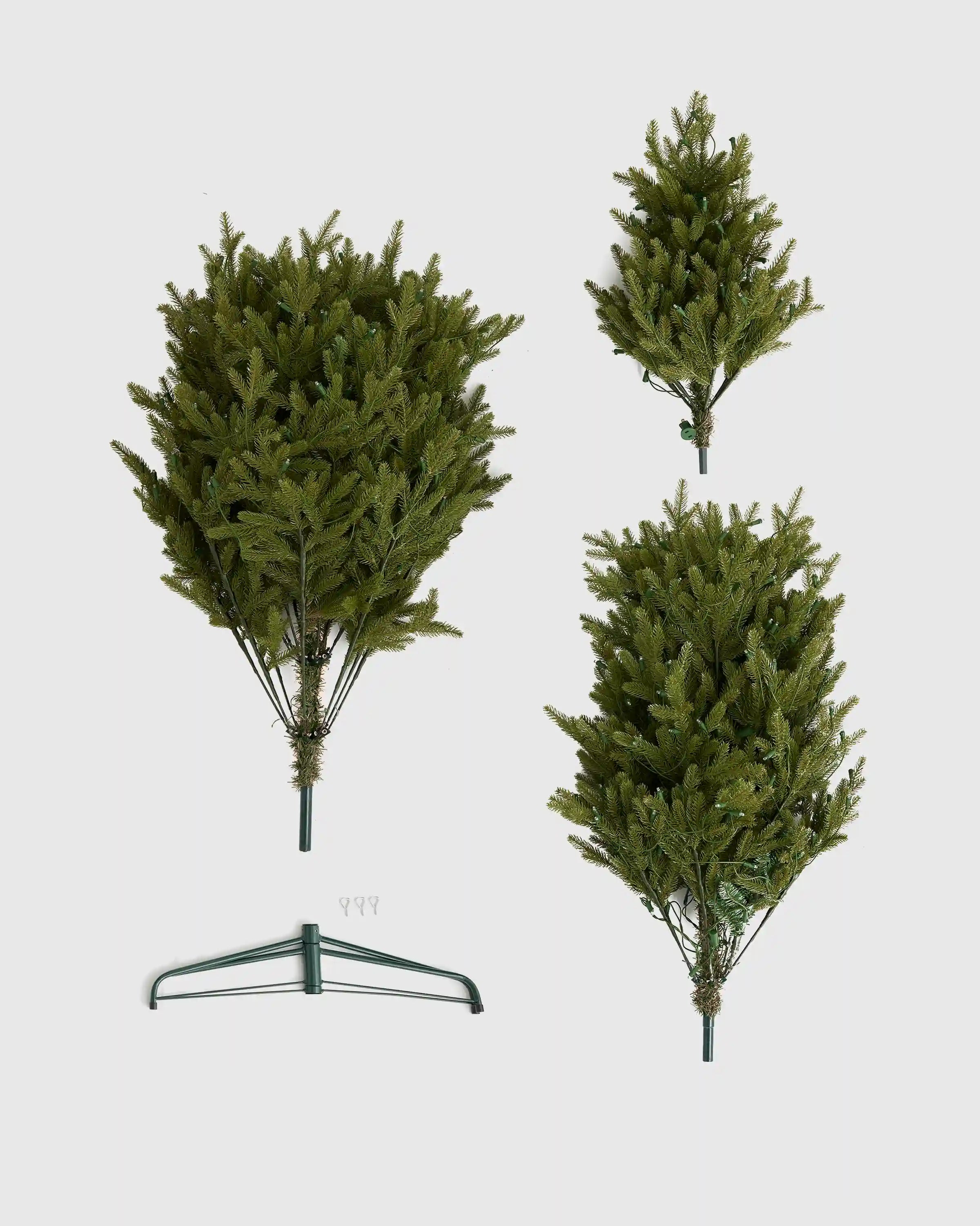 Fraser Fir Christmas Tree: Unlit